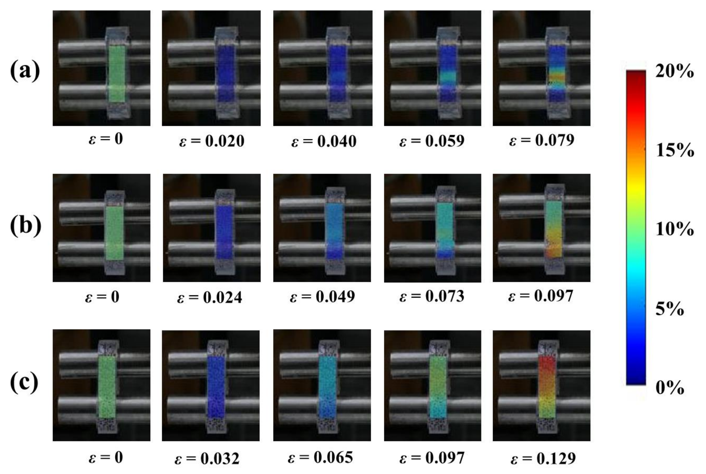 Foods 11 04042 g004 Foods 11 04042 g004