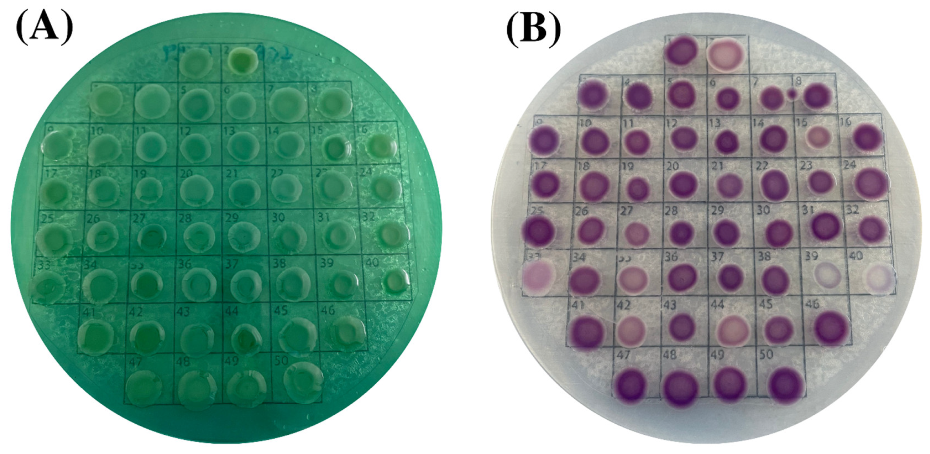 Foods 11 04048 g002 Foods 11 04048 g002