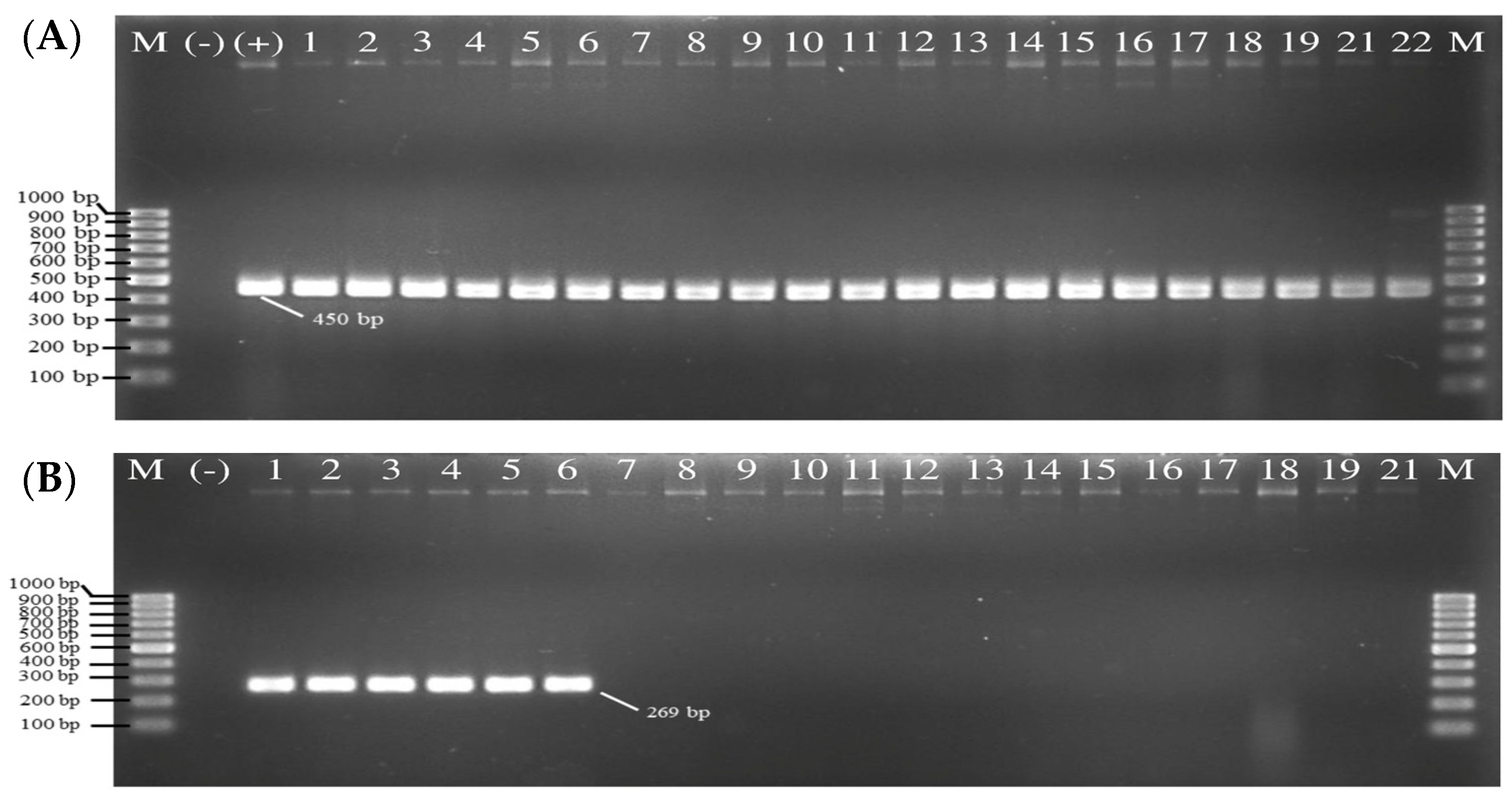 Foods 11 04048 g003 Foods 11 04048 g003