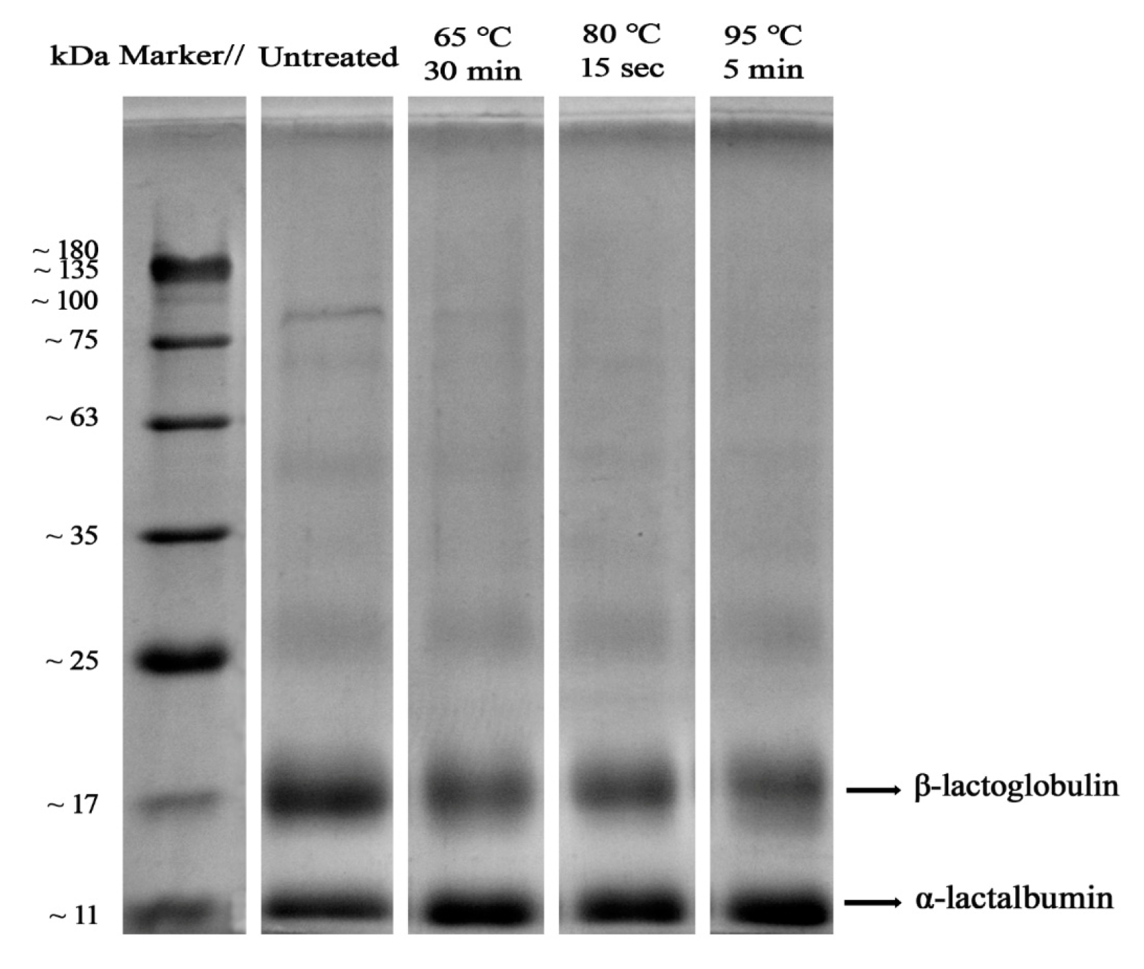 Foods 11 04050 g001 Foods 11 04050 g001