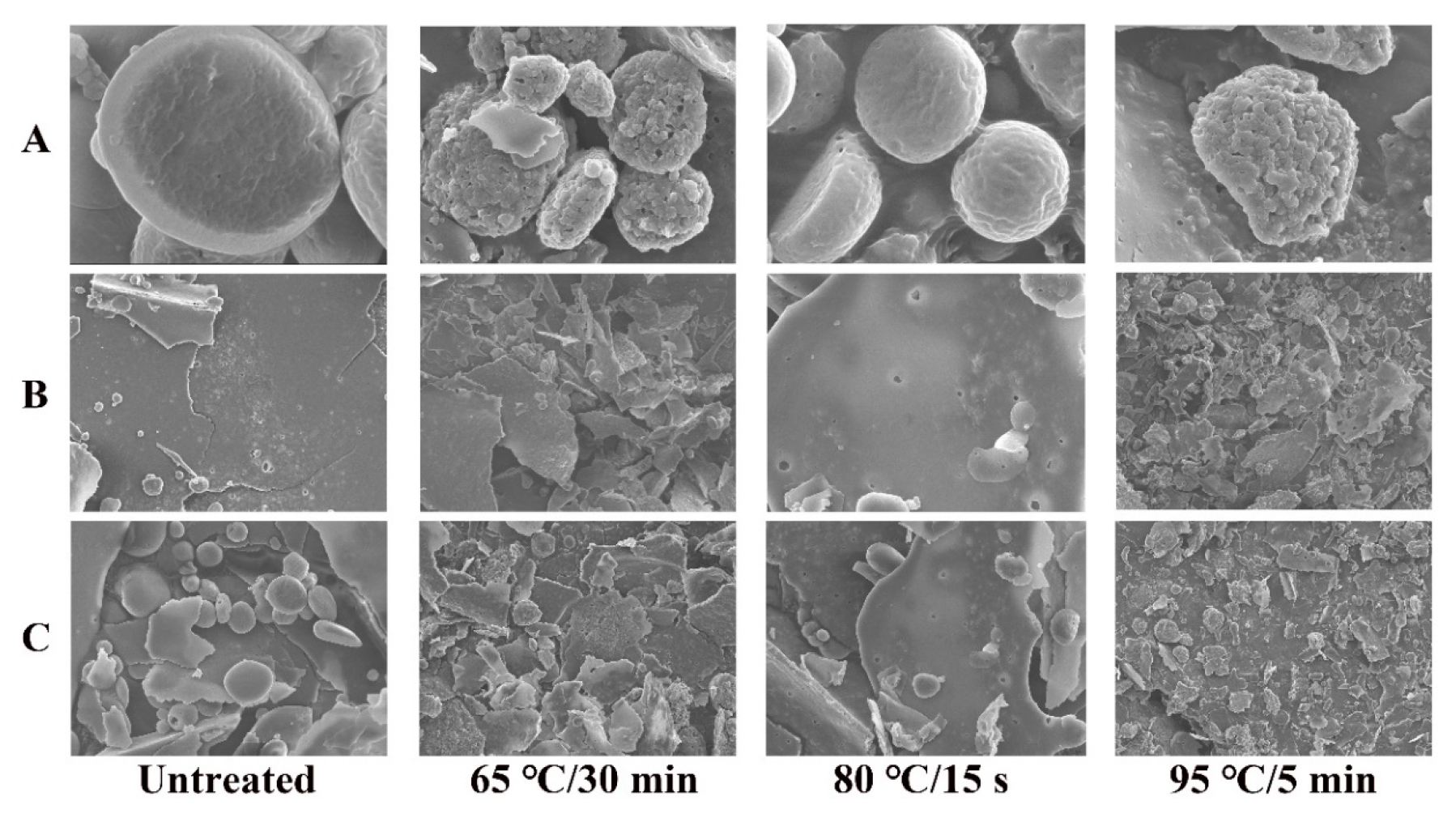 Foods 11 04050 g003 Foods 11 04050 g003