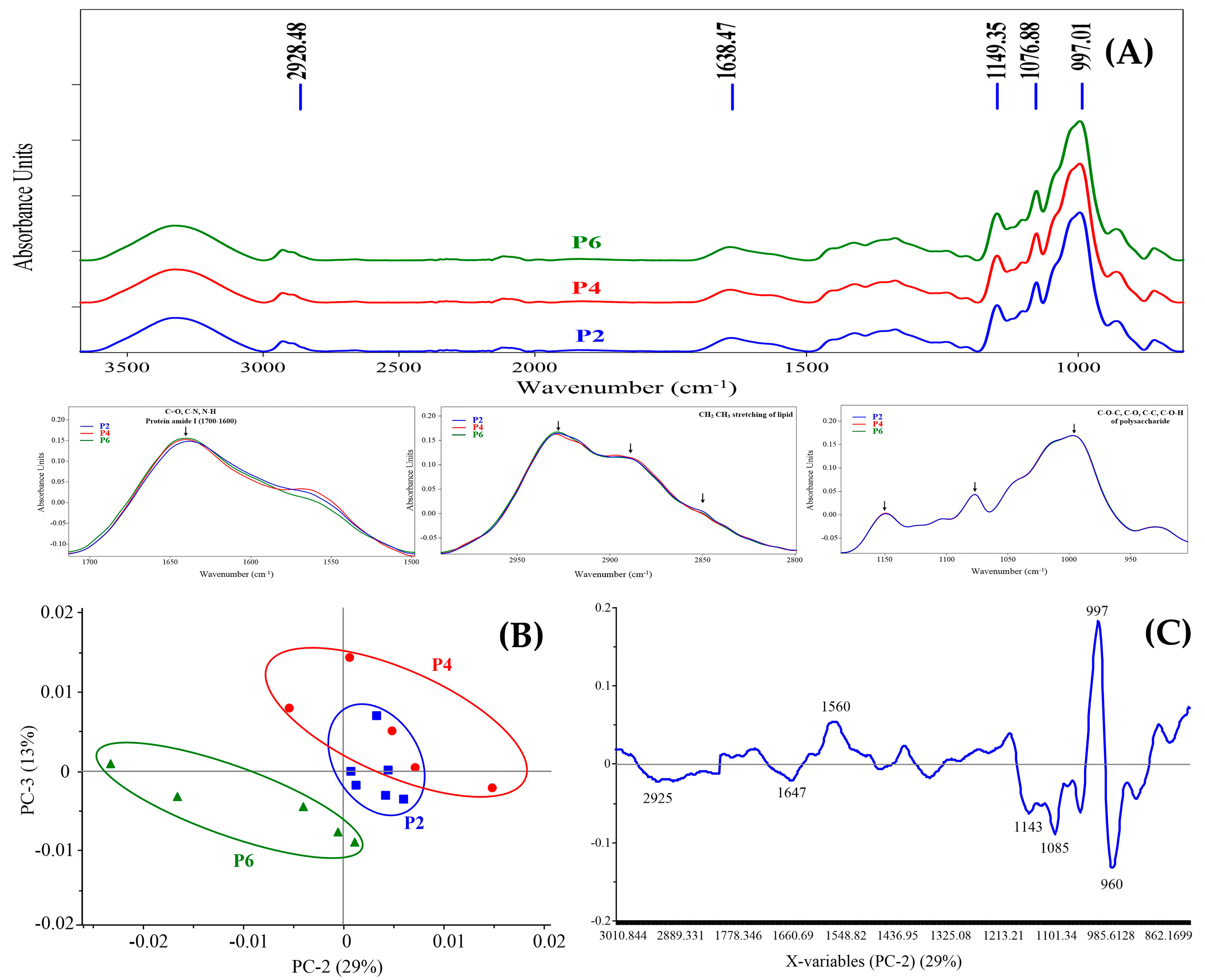Foods 11 04053 g001 Foods 11 04053 g001