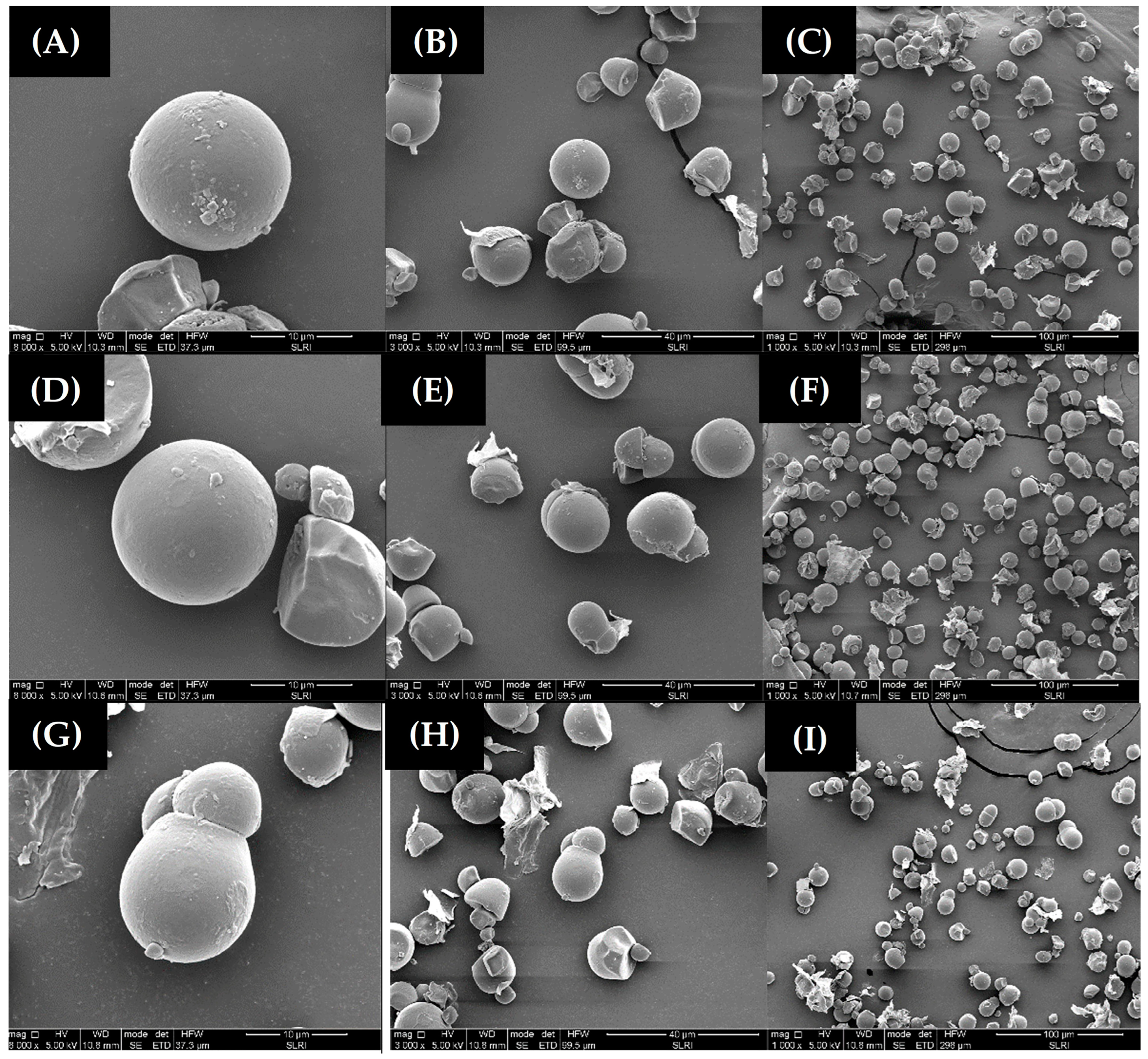 Foods 11 04053 g003 Foods 11 04053 g003