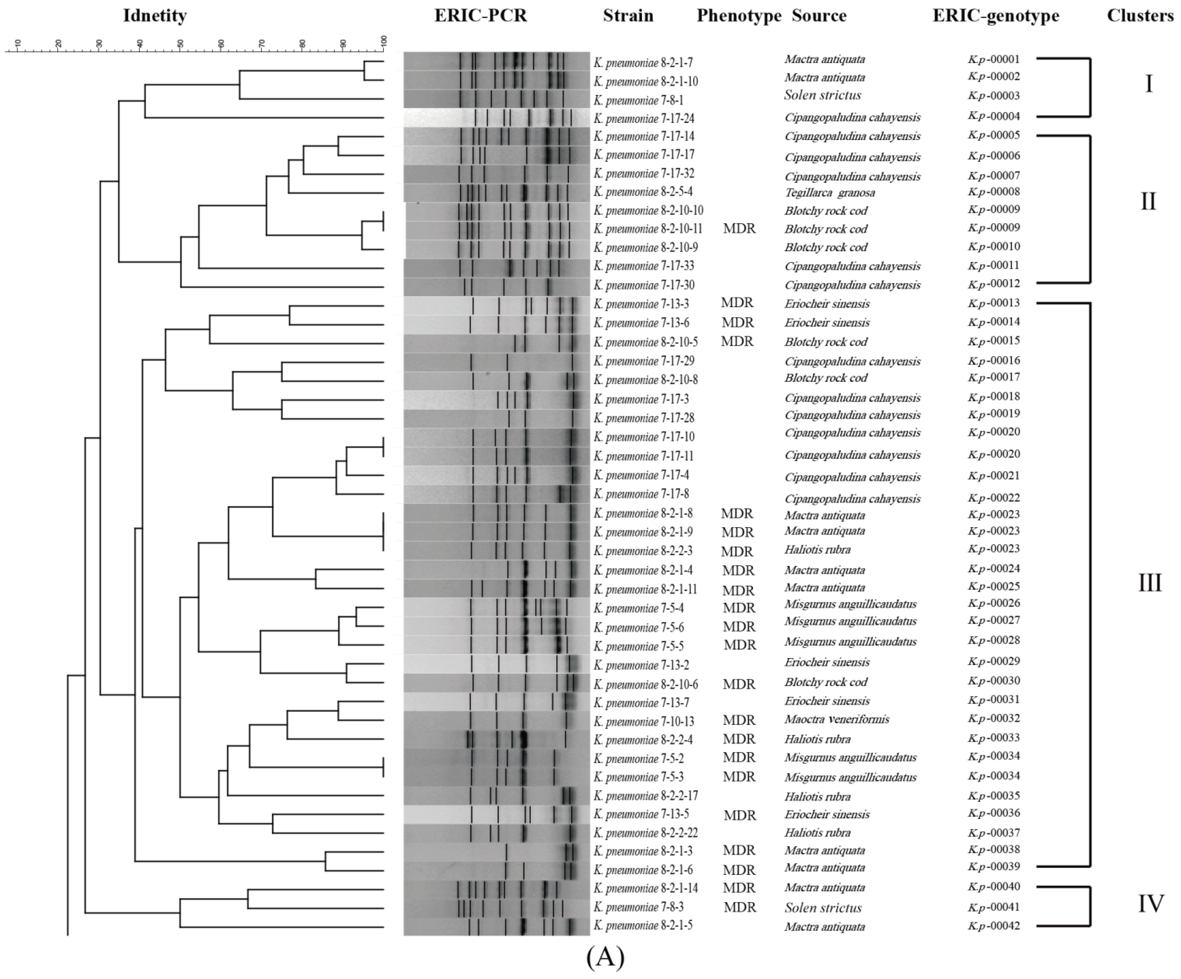 Foods 11 04058 g002a Foods 11 04058 g002a