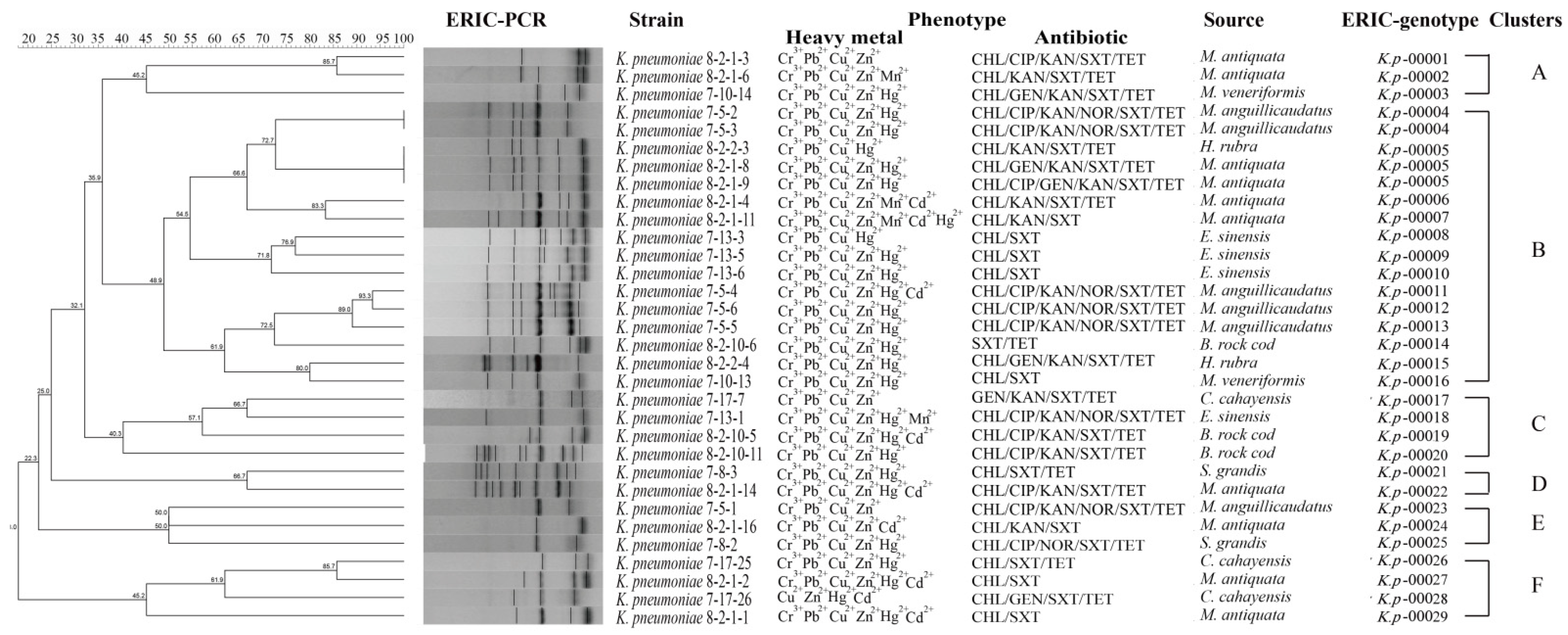 Foods 11 04058 g003 Foods 11 04058 g003