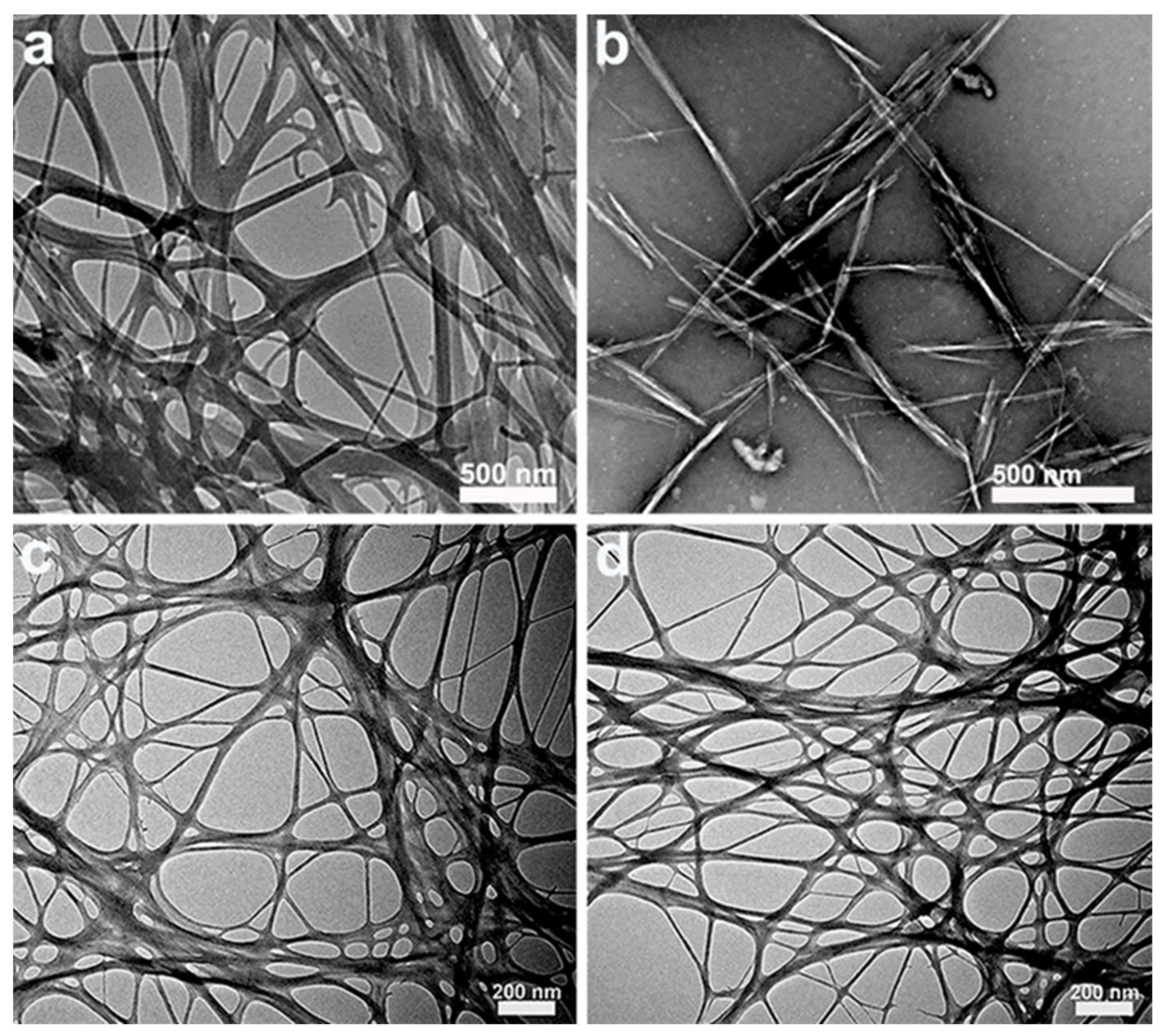 Foods 11 04064 g002 Foods 11 04064 g002