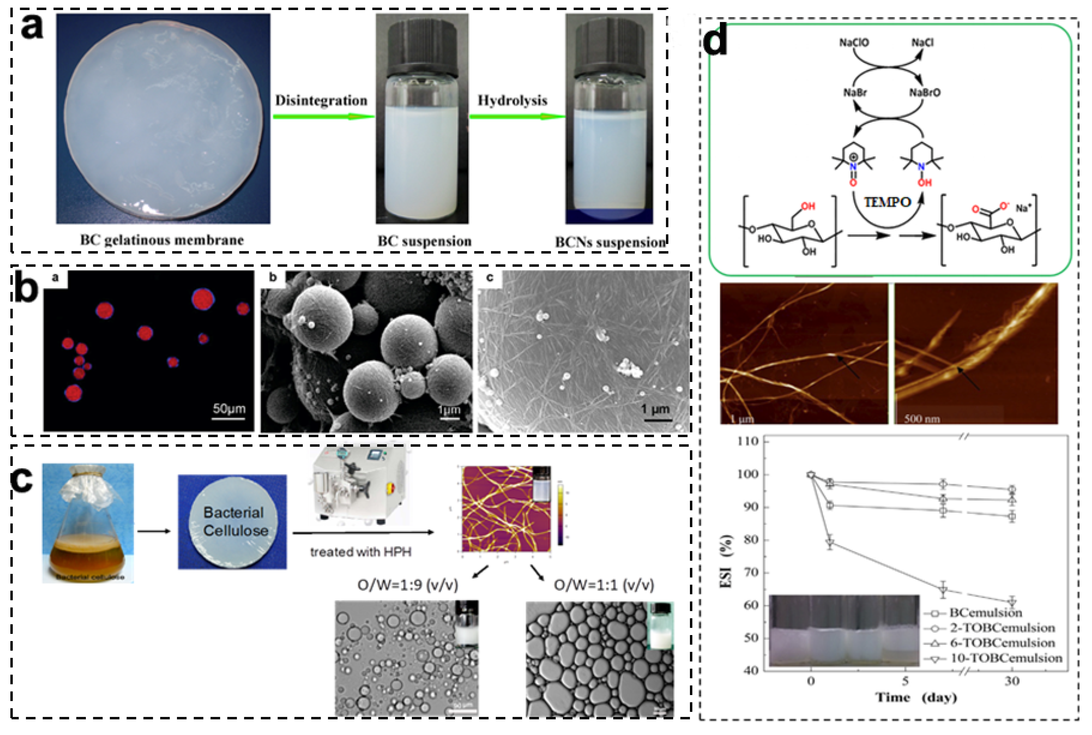 Foods 11 04064 g003 Foods 11 04064 g003