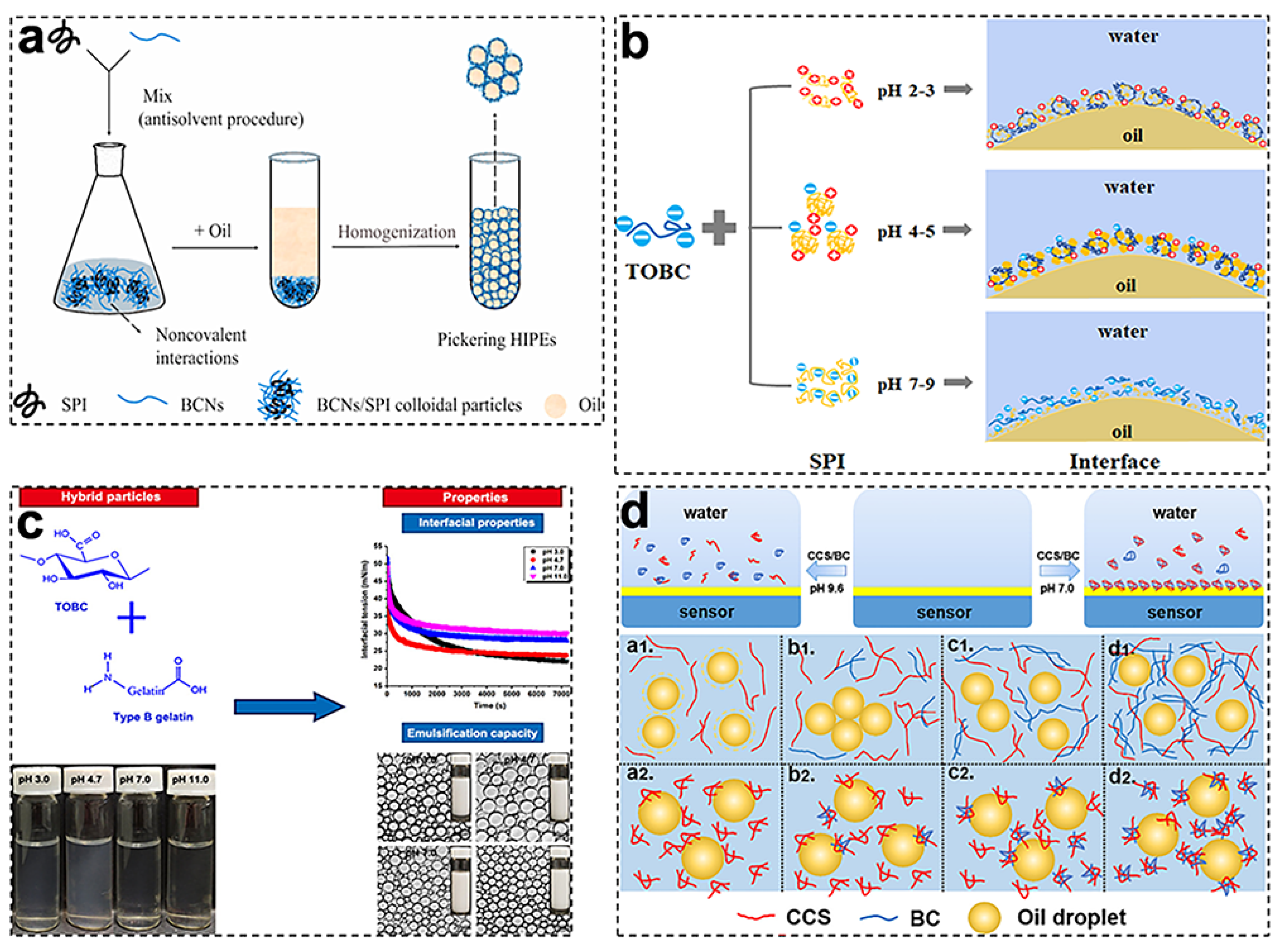 Foods 11 04064 g004 Foods 11 04064 g004