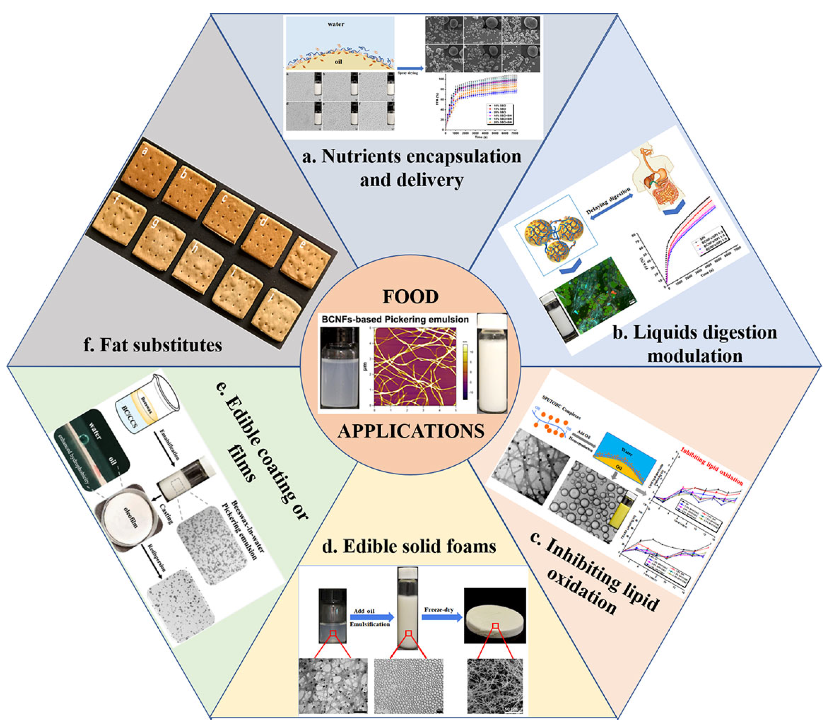 Foods 11 04064 g005 Foods 11 04064 g005