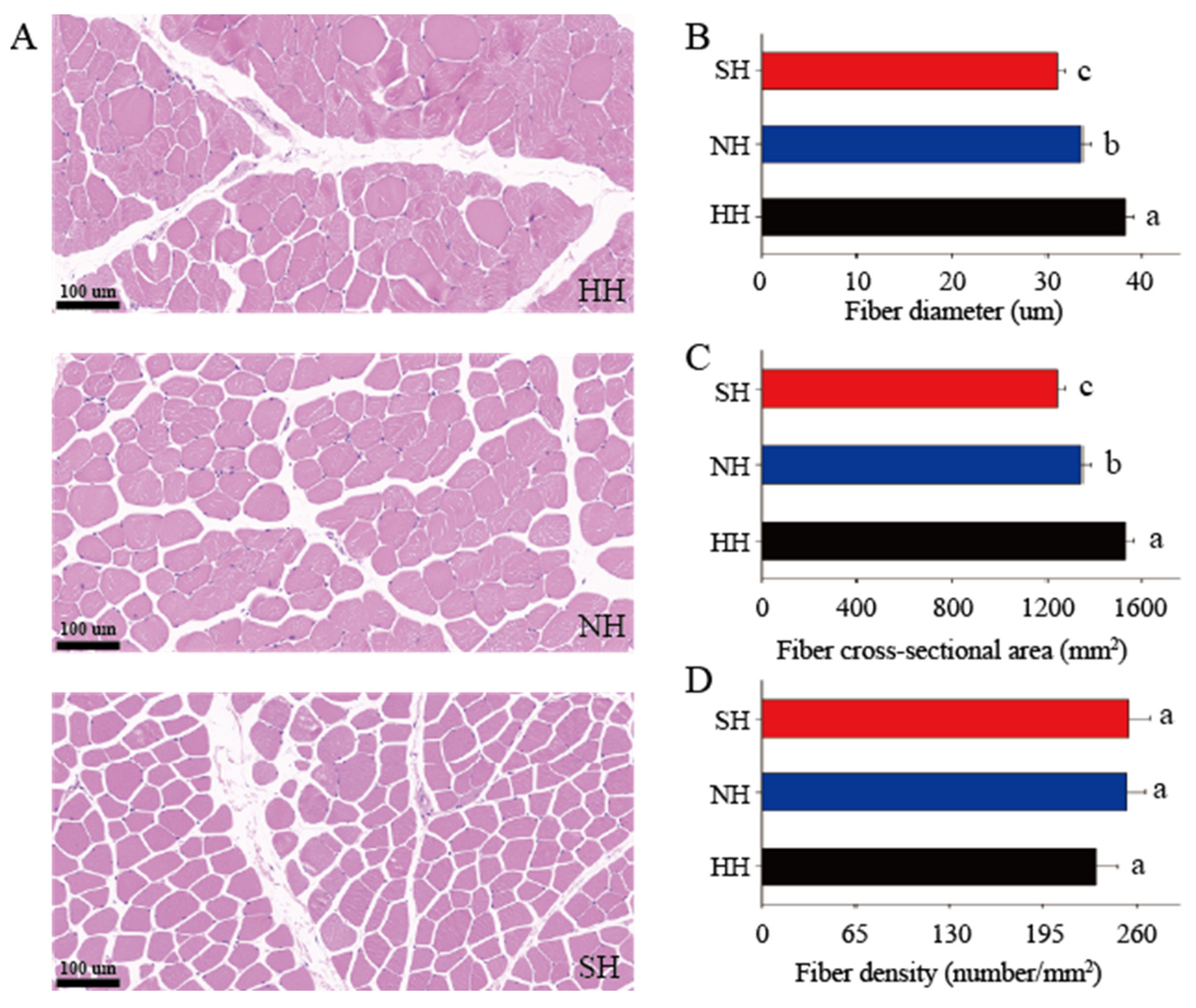 Foods 11 04076 g001 Foods 11 04076 g001