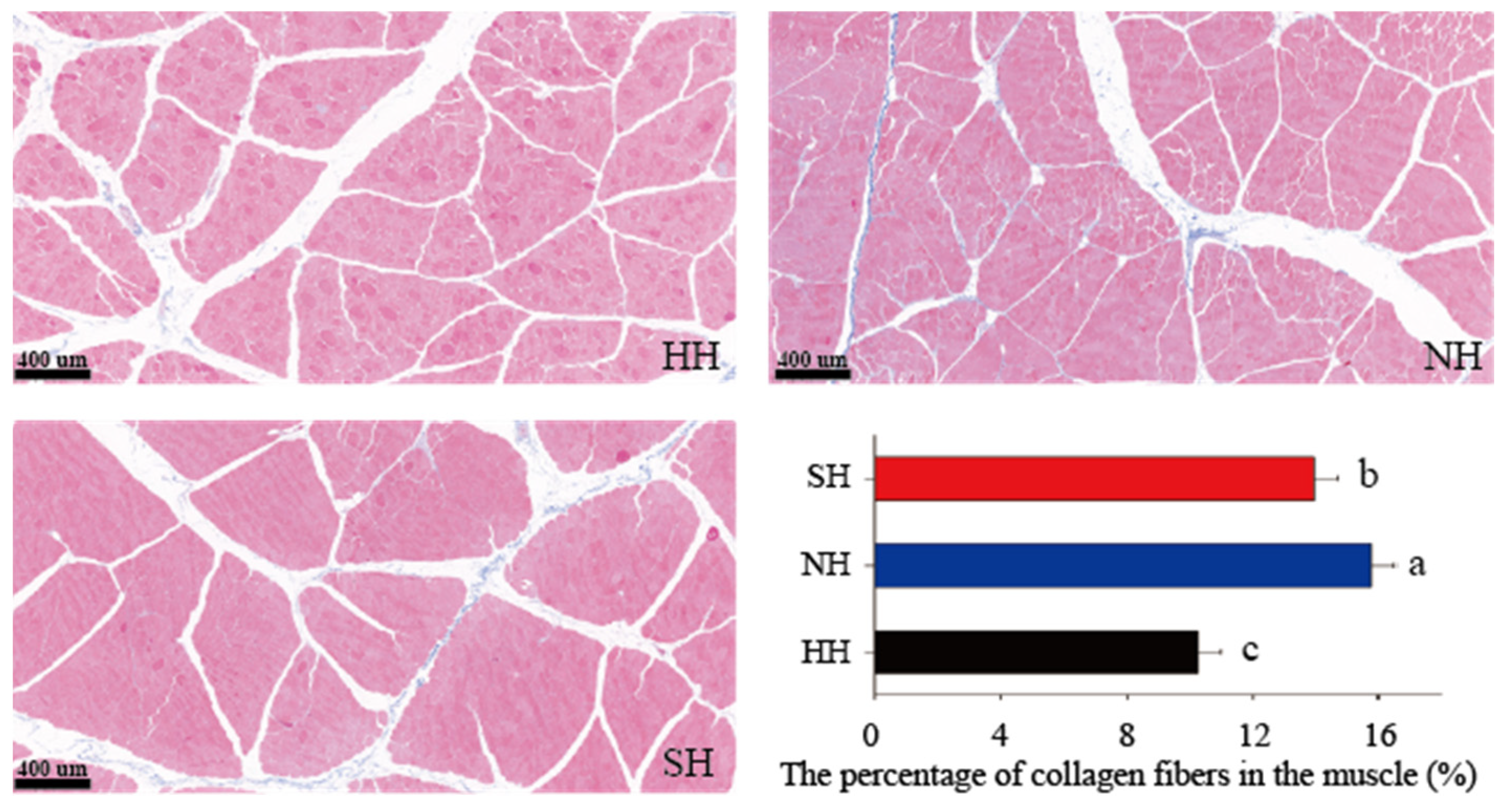 Foods 11 04076 g002 Foods 11 04076 g002