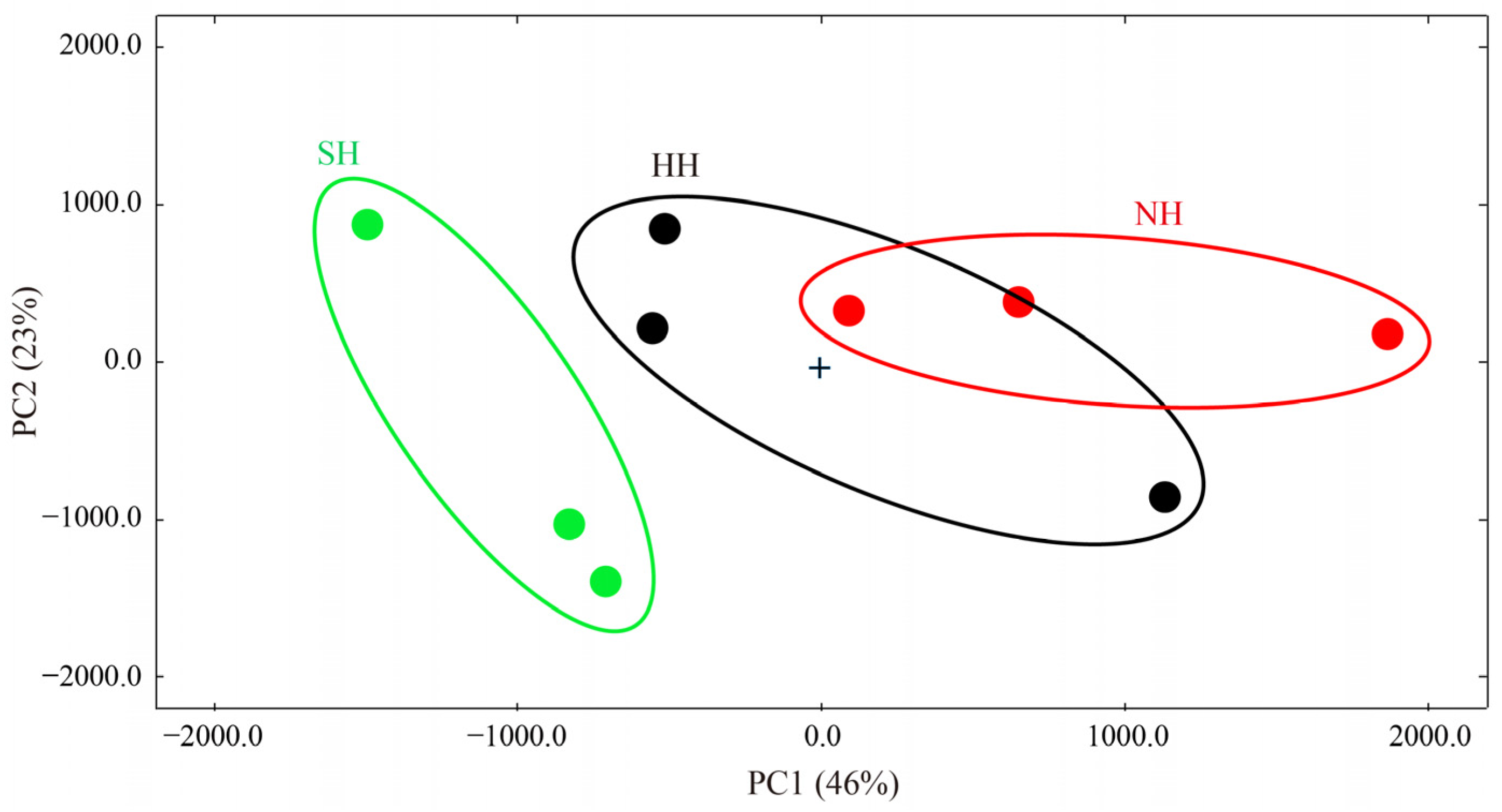 Foods 11 04076 g006 Foods 11 04076 g006