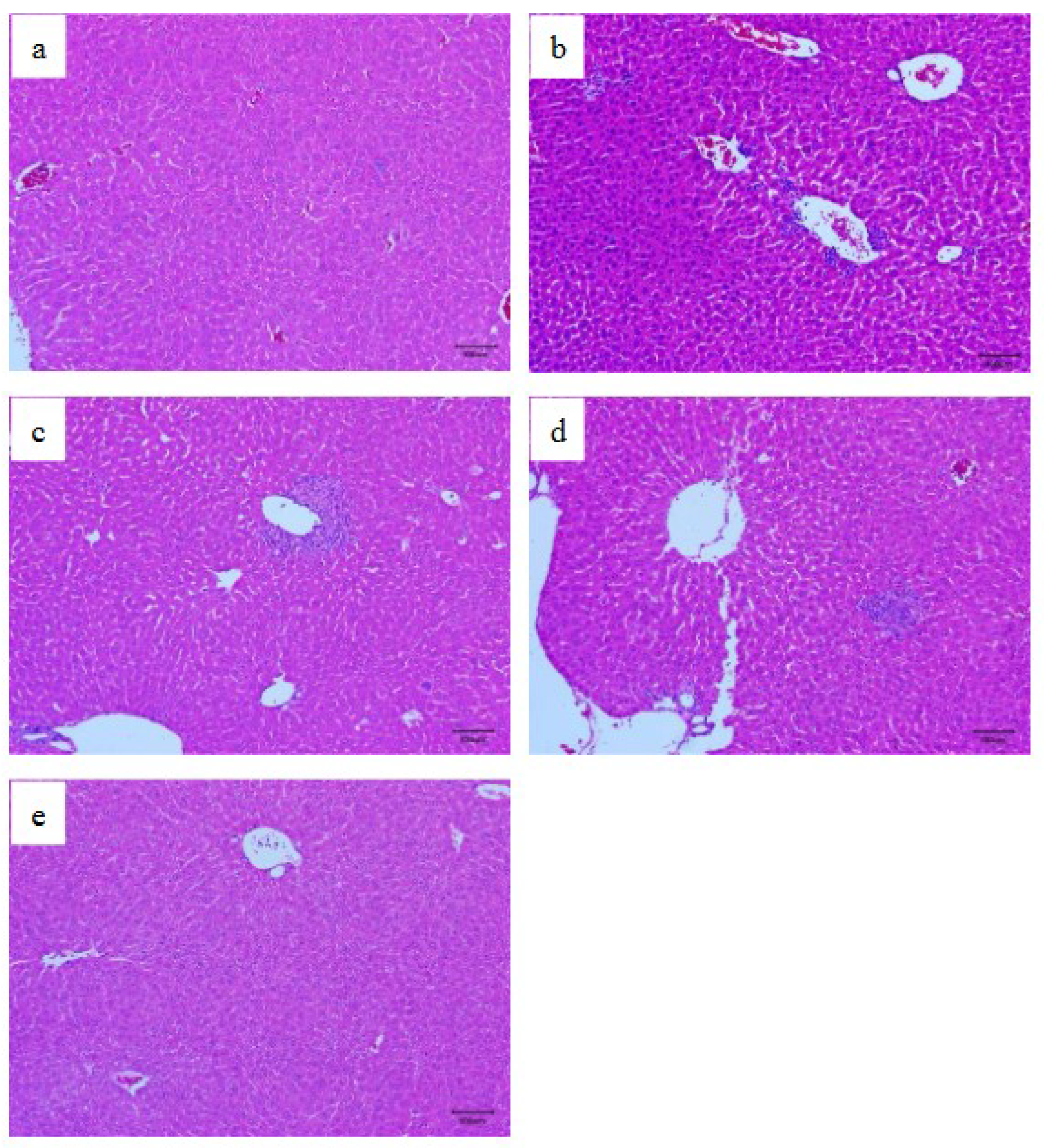 Foods 11 04087 g006 Foods 11 04087 g006