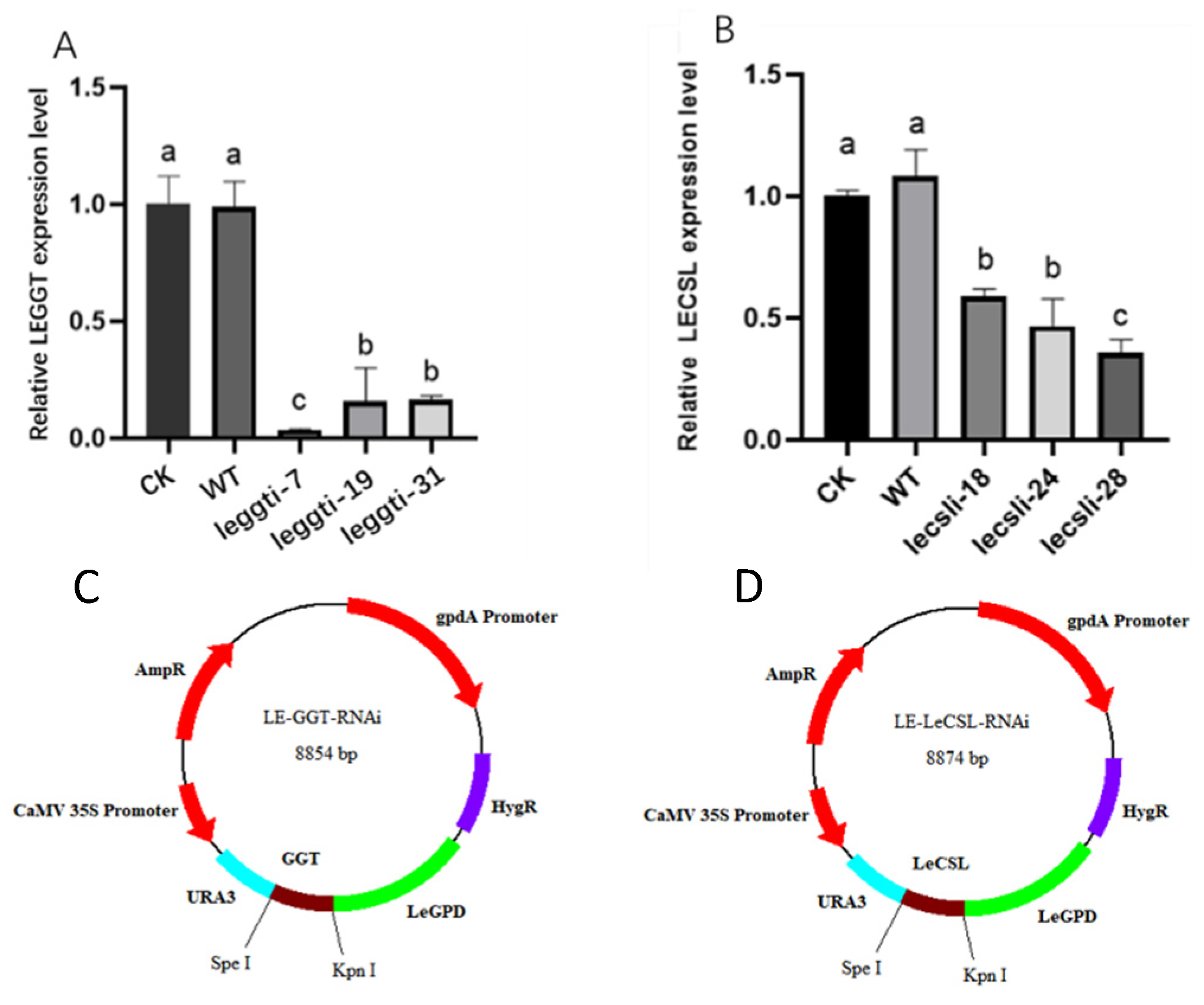 Foods 11 04110 g007 Foods 11 04110 g007