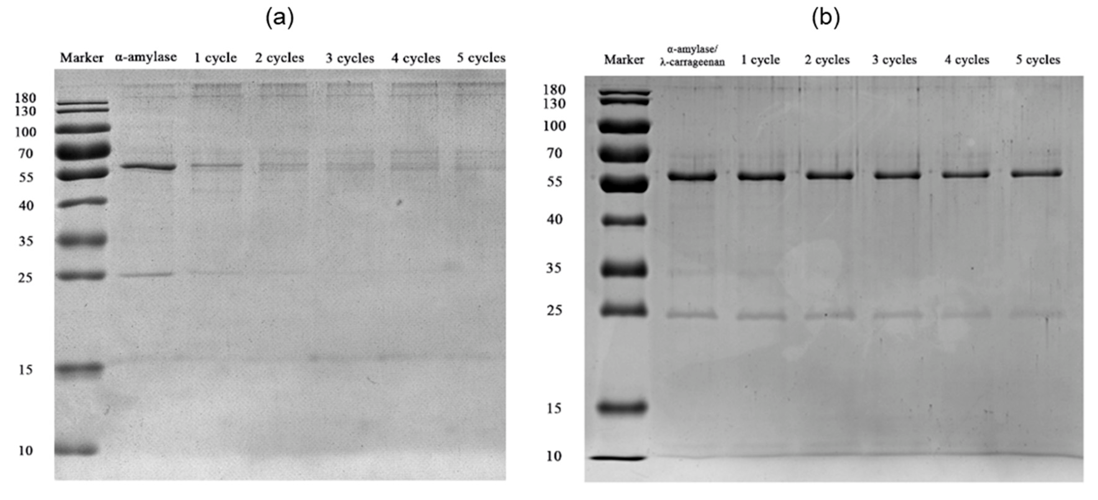 Foods 11 04112 g008 Foods 11 04112 g008
