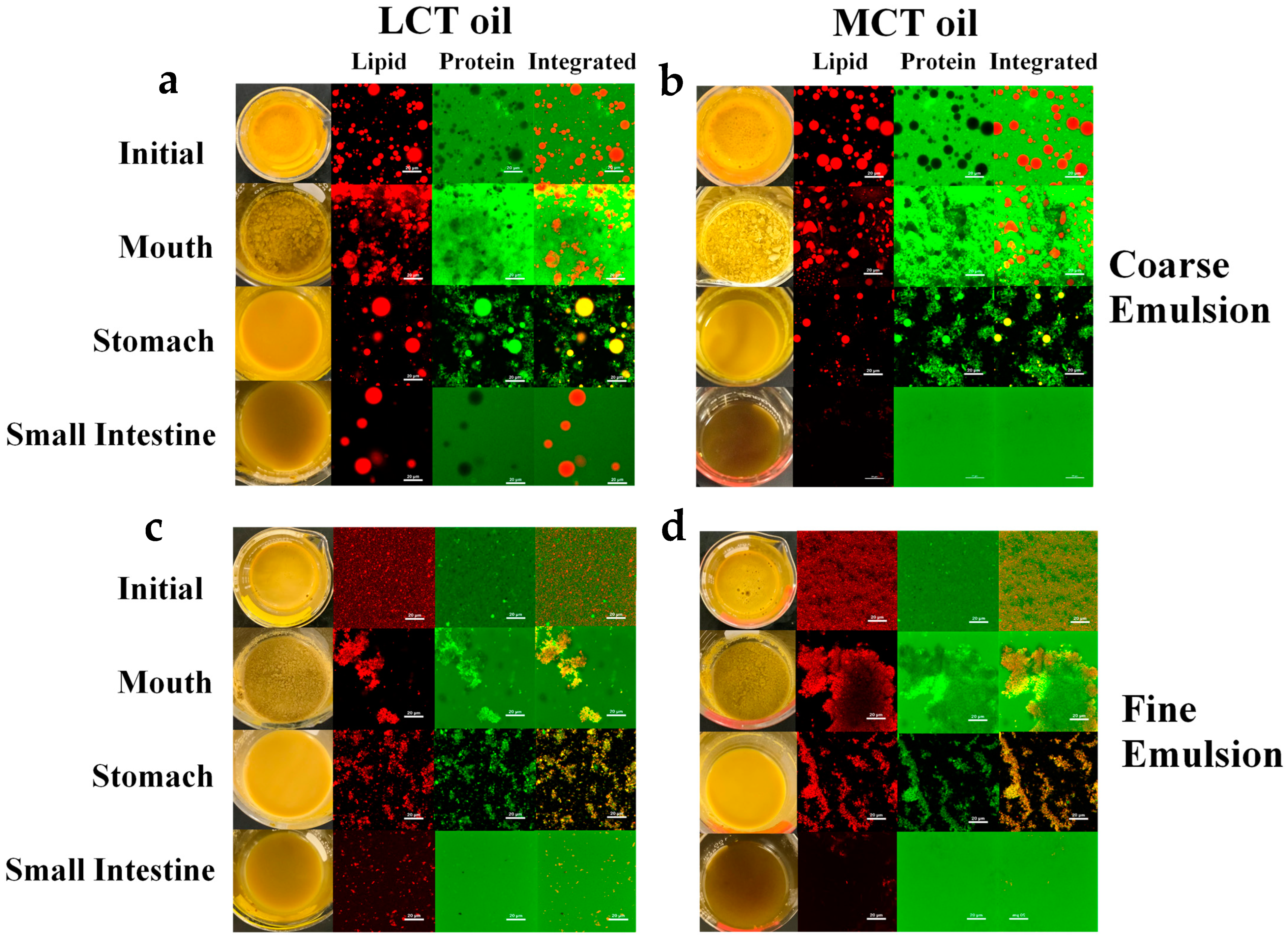 Foods 12 00002 g003 Foods 12 00002 g003