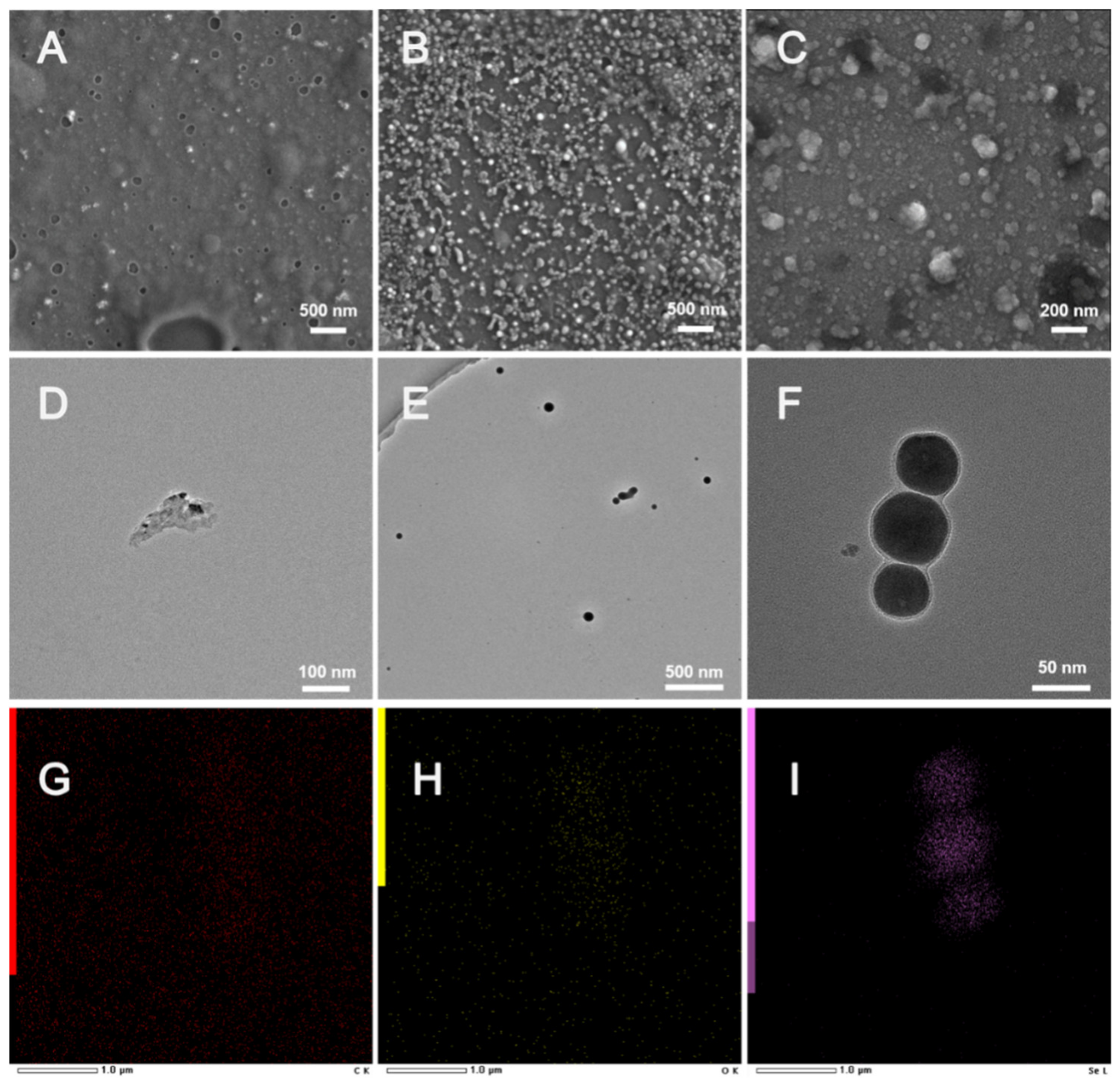 Foods 12 00013 g001 Foods 12 00013 g001