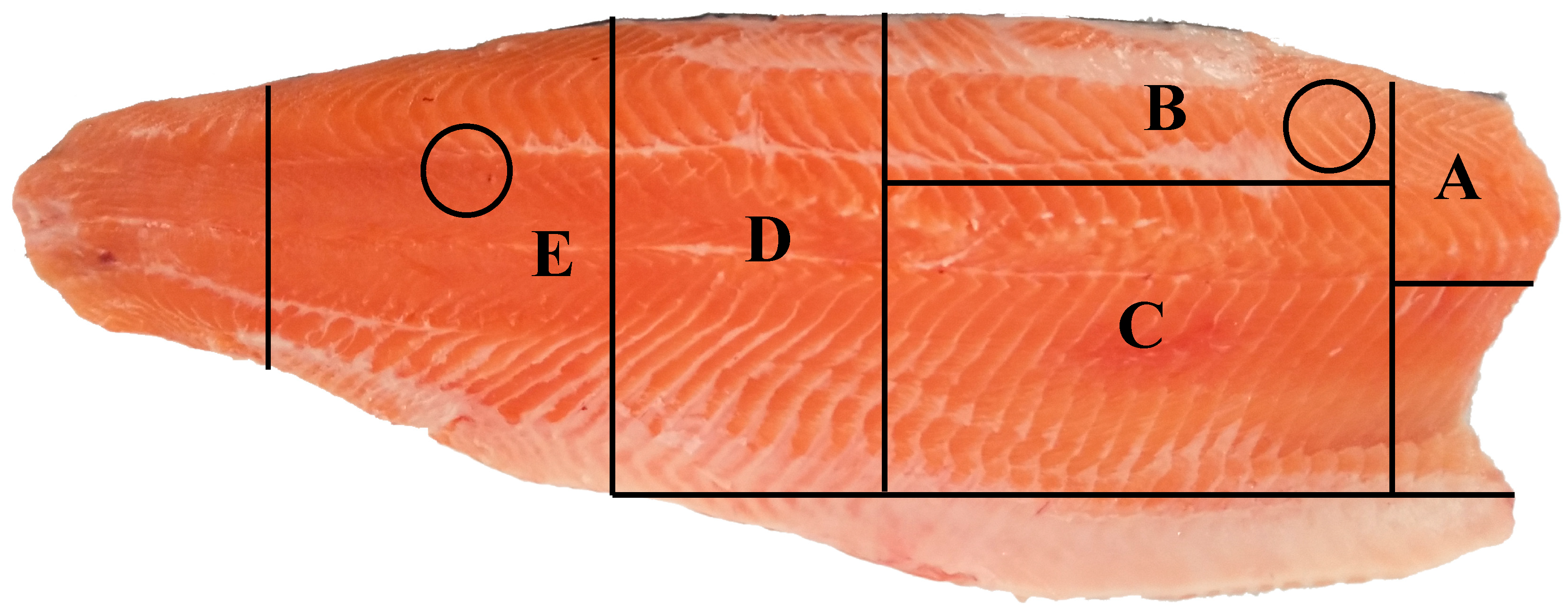 Foods 12 00015 g001 Foods 12 00015 g001