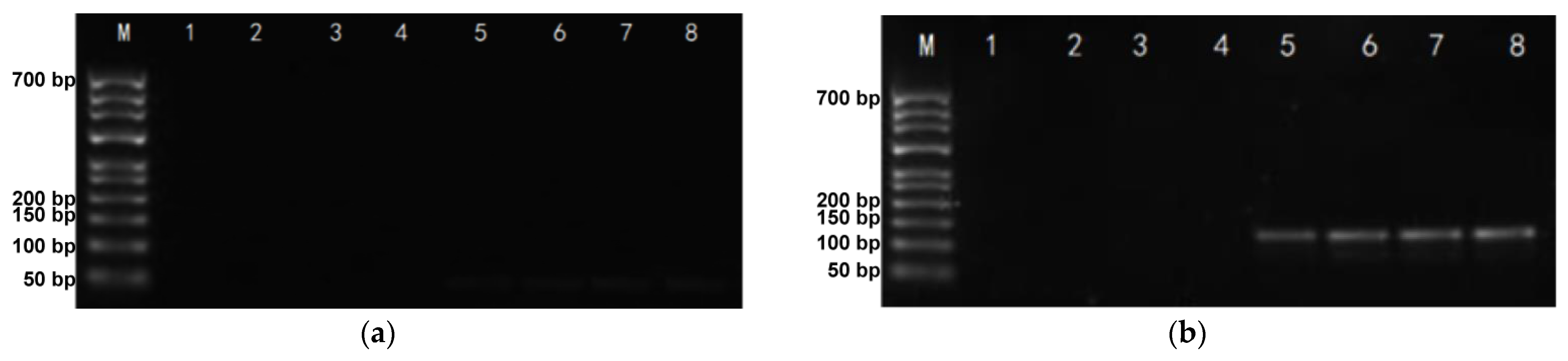 Foods 12 00017 g002 Foods 12 00017 g002