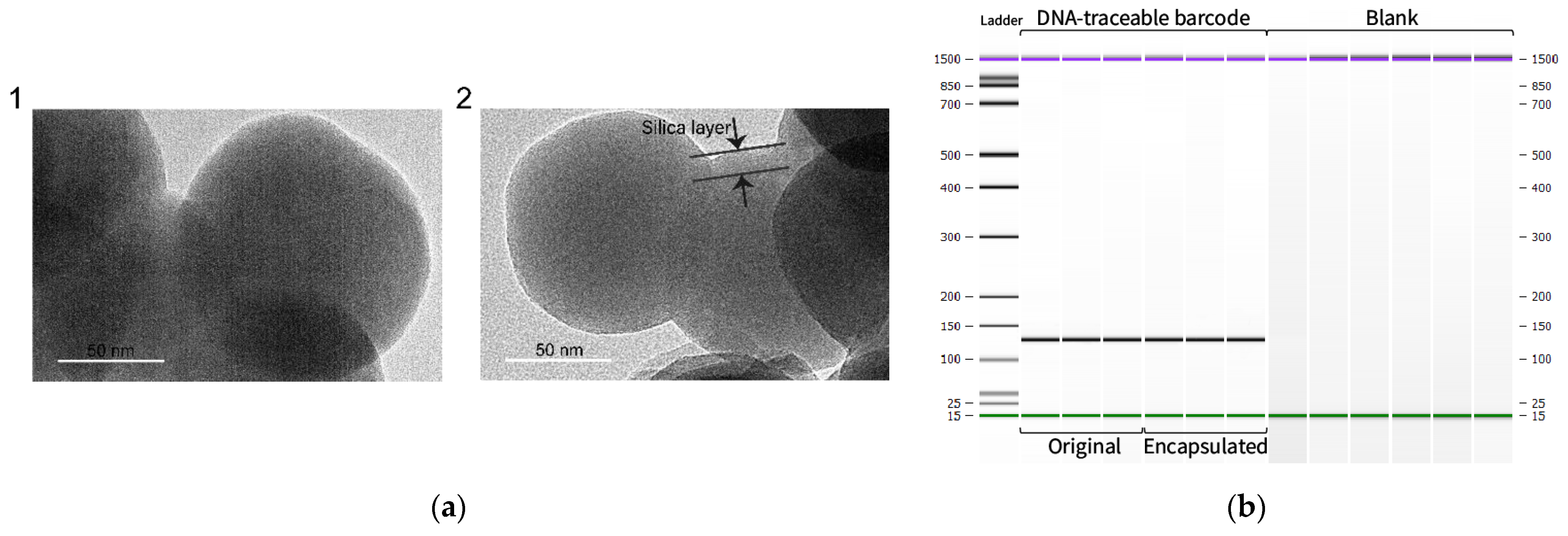 Foods 12 00017 g005 Foods 12 00017 g005