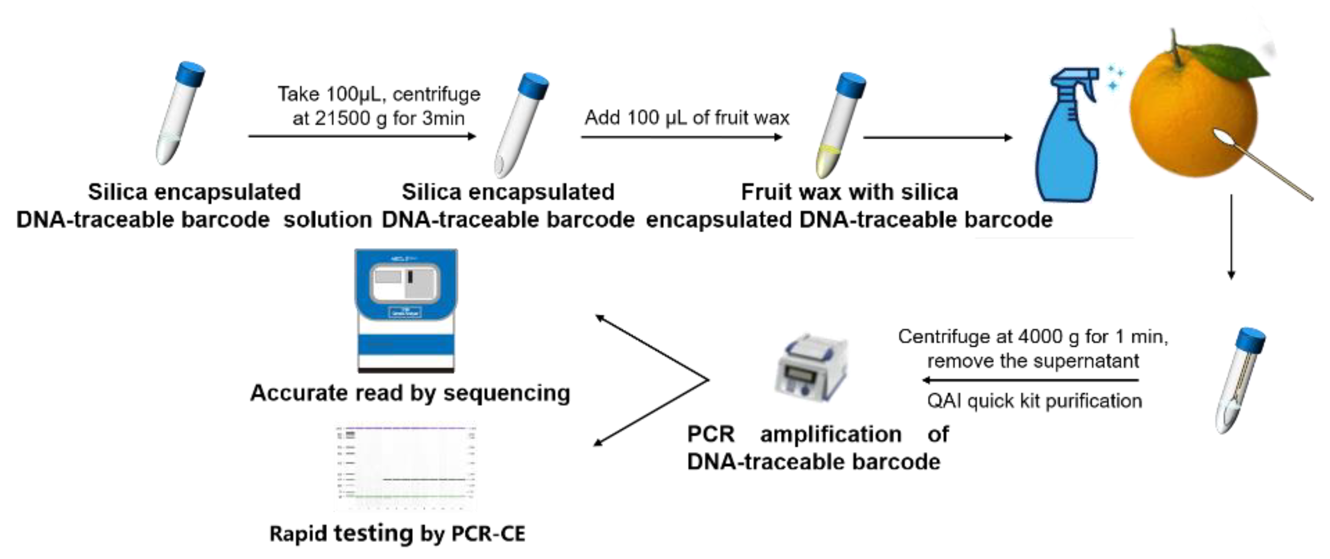 Foods 12 00017 g006 Foods 12 00017 g006