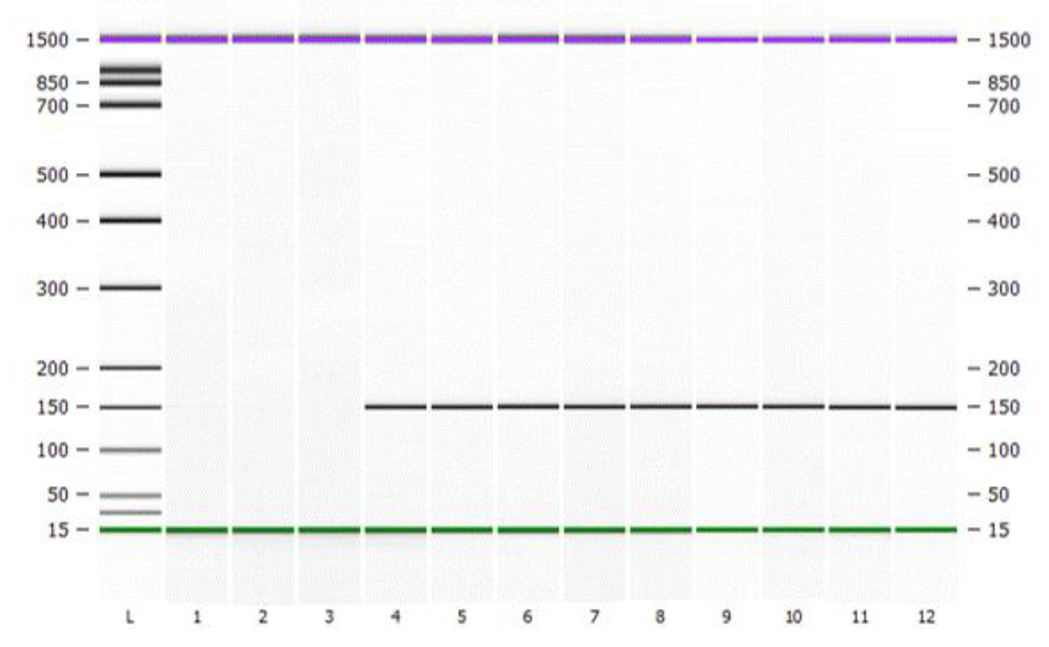 Foods 12 00017 g007 Foods 12 00017 g007