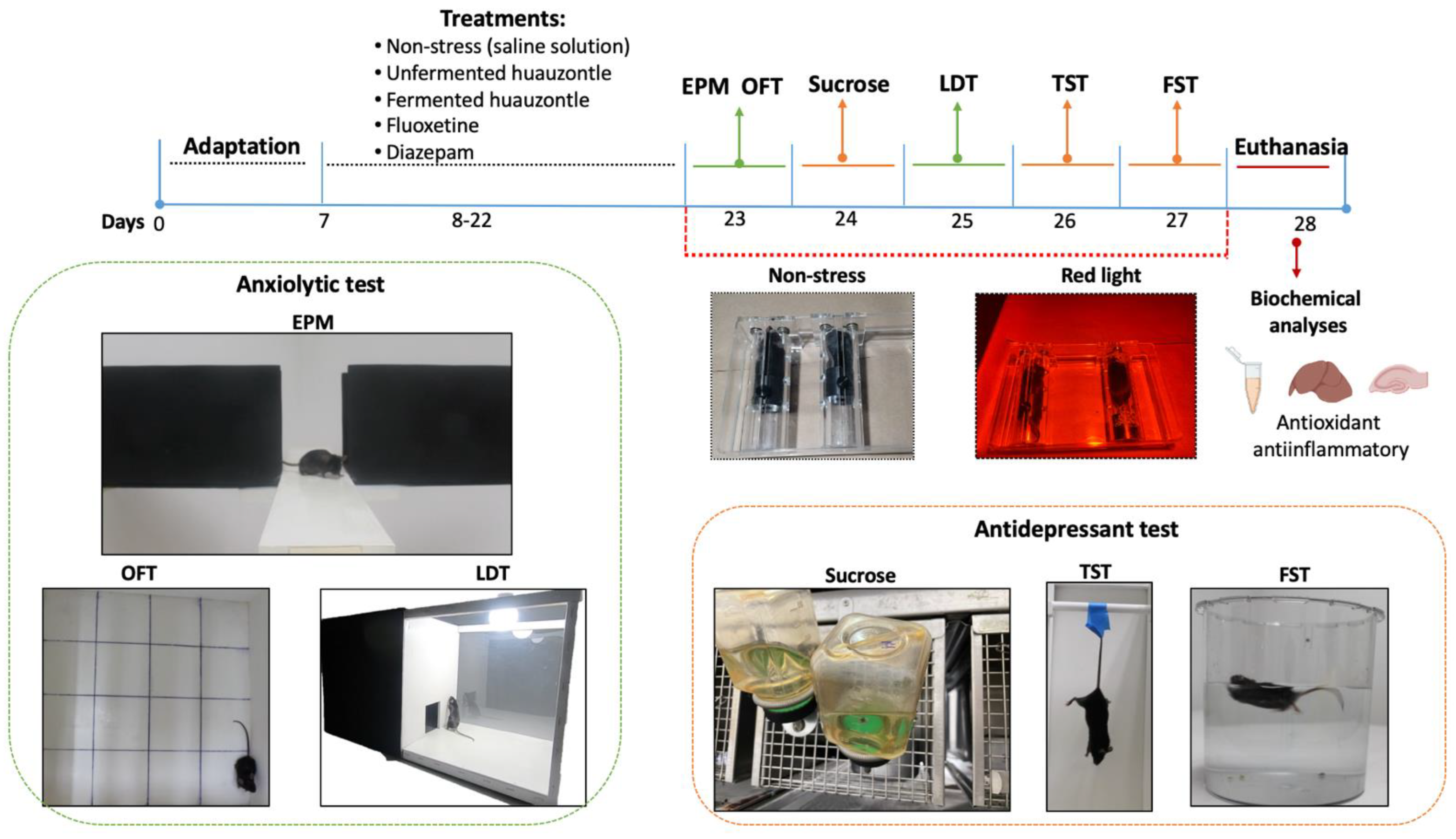 Foods 12 00053 g001 Foods 12 00053 g001