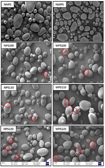 Preparation, physicochemical properties, and in vivo digestibility