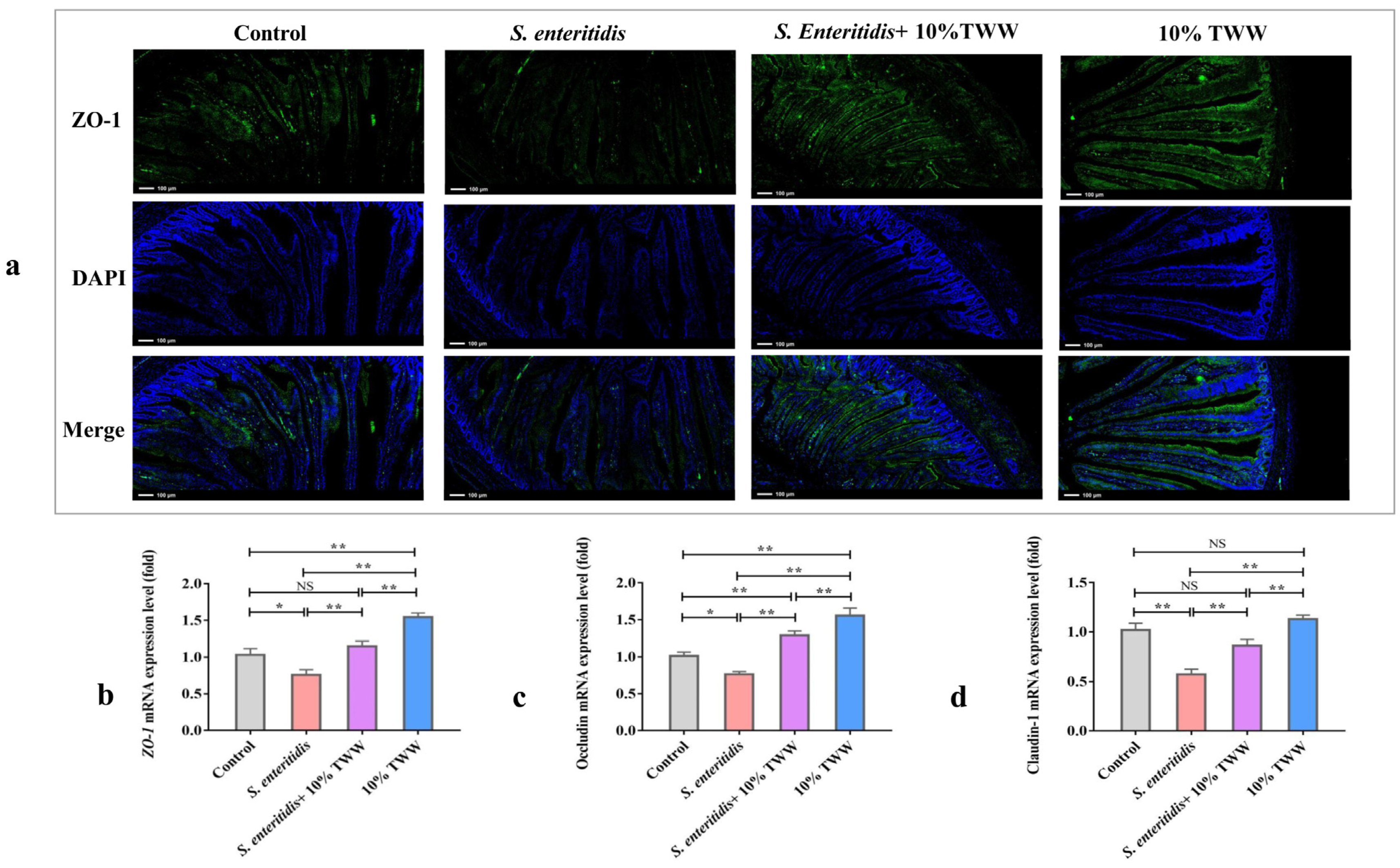 Foods 12 00079 g007 Foods 12 00079 g007