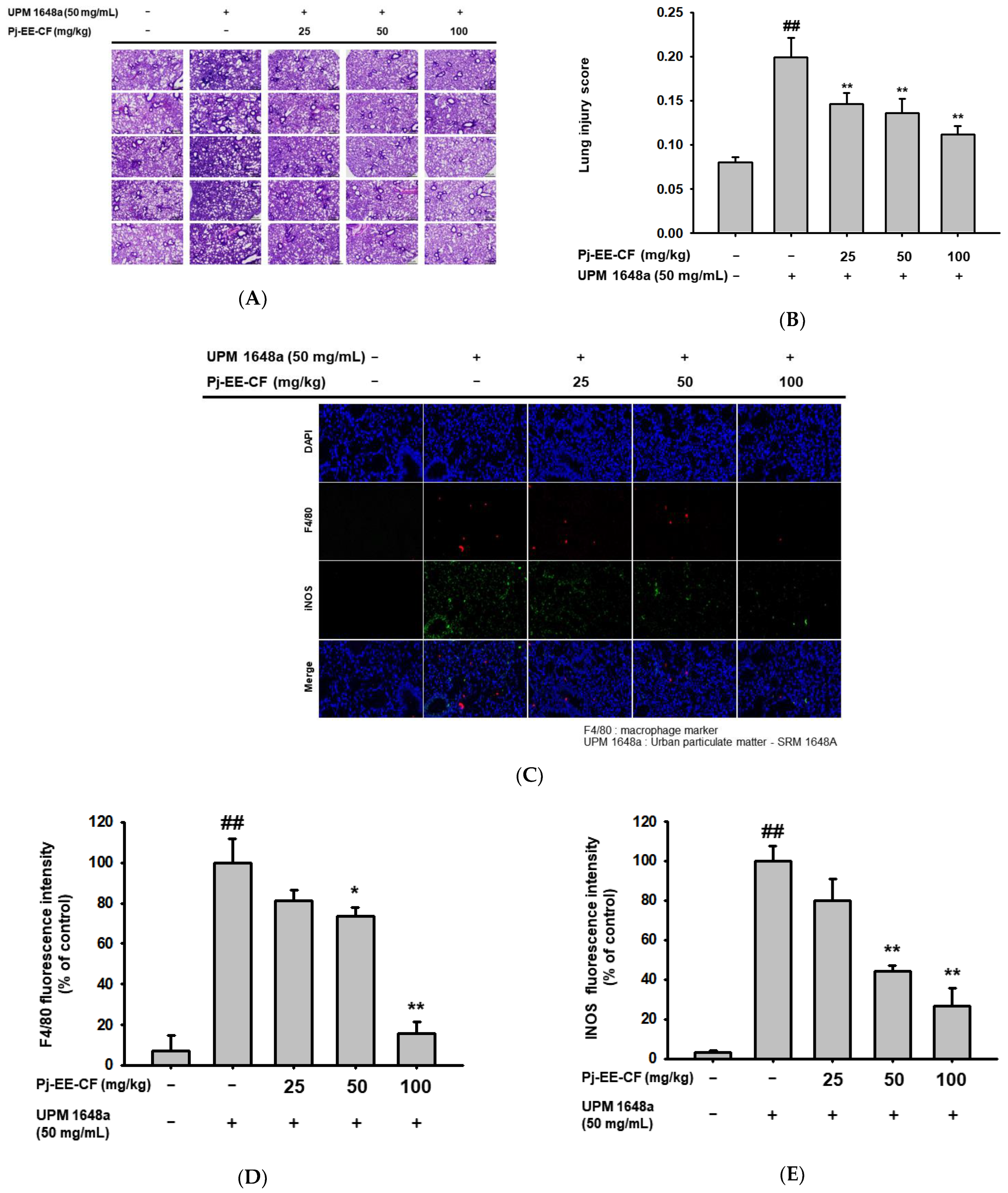 Foods 12 00088 g002a