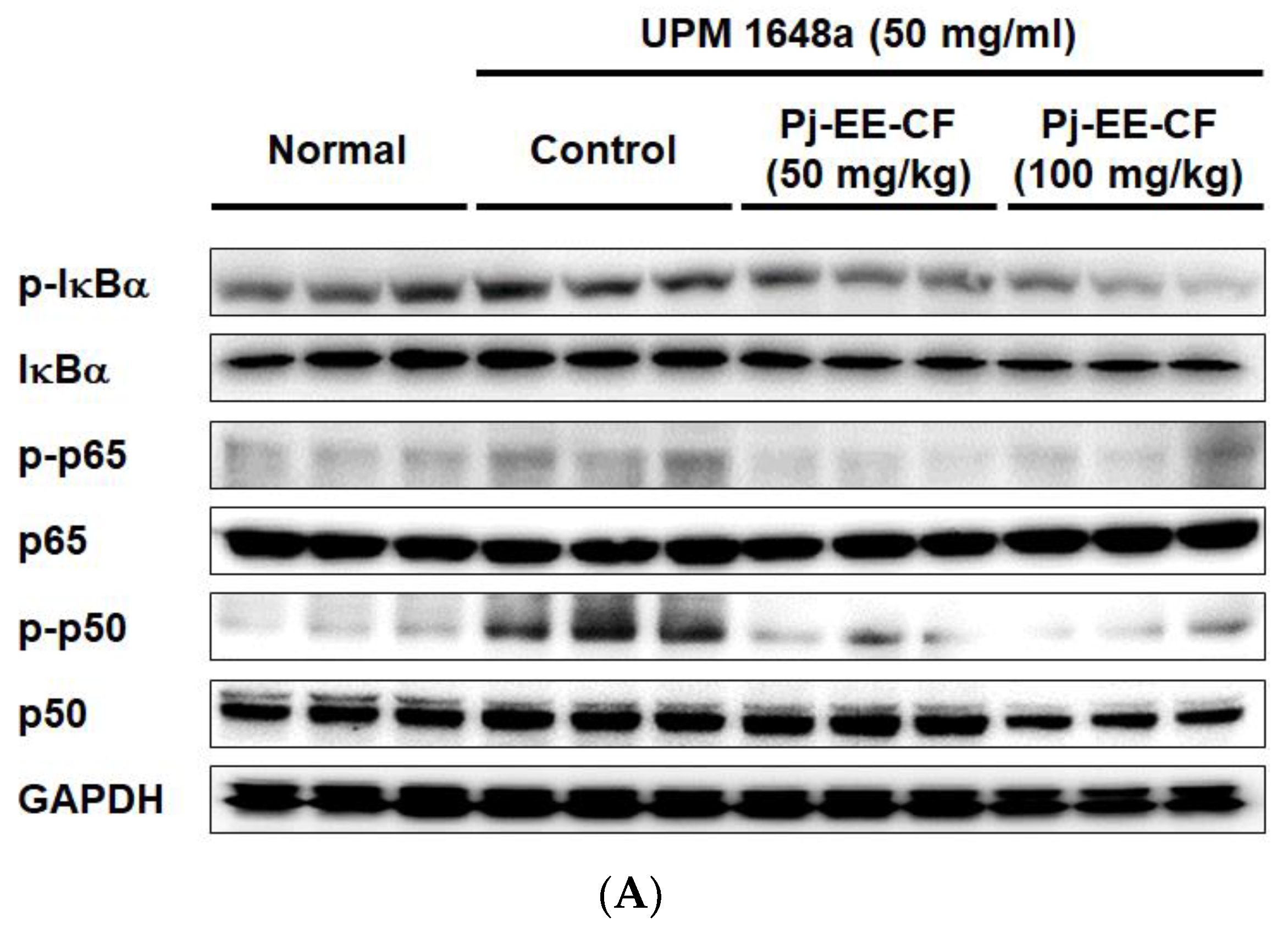 Foods 12 00088 g005a