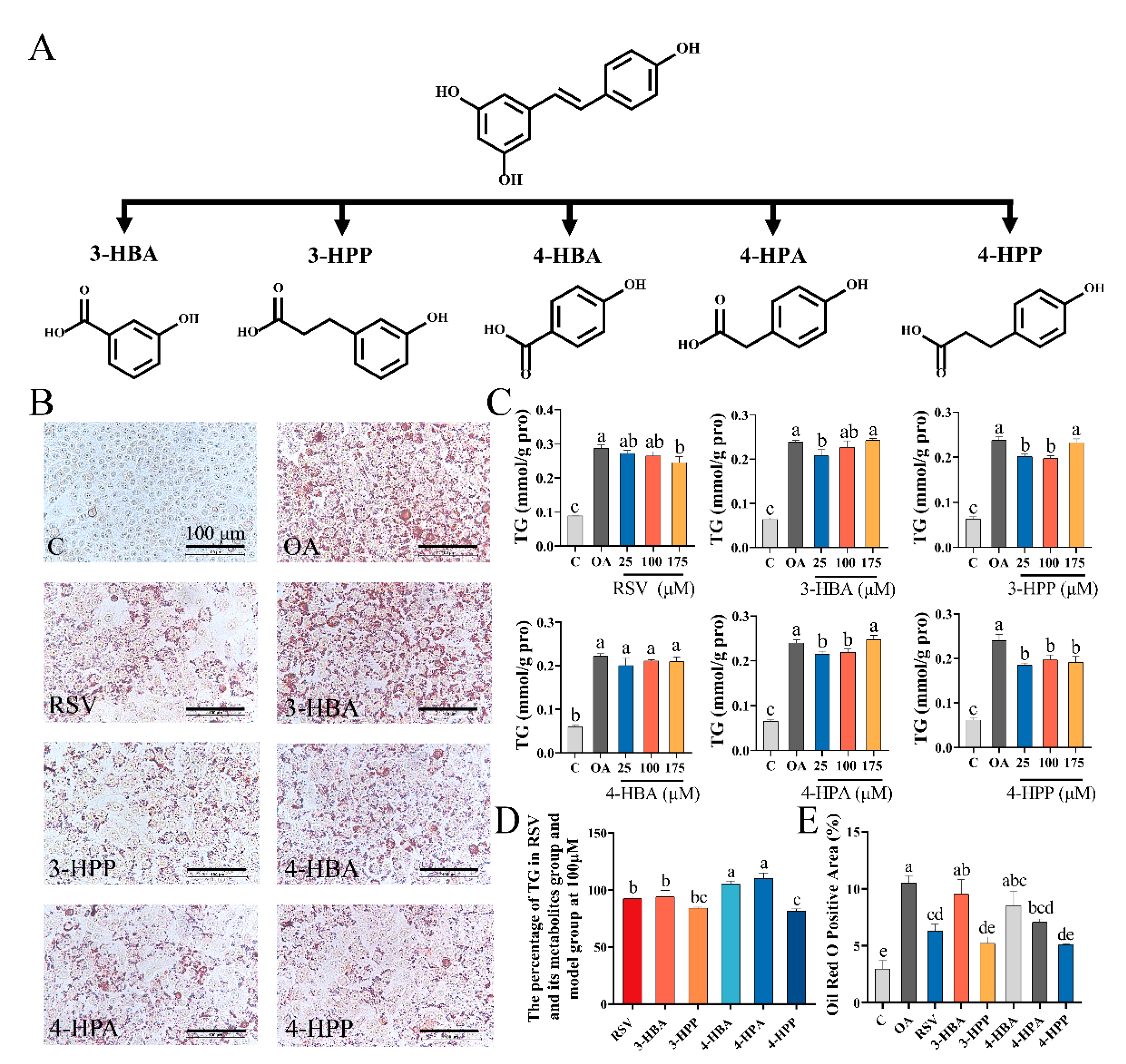 Foods 12 00094 g001 Foods 12 00094 g001