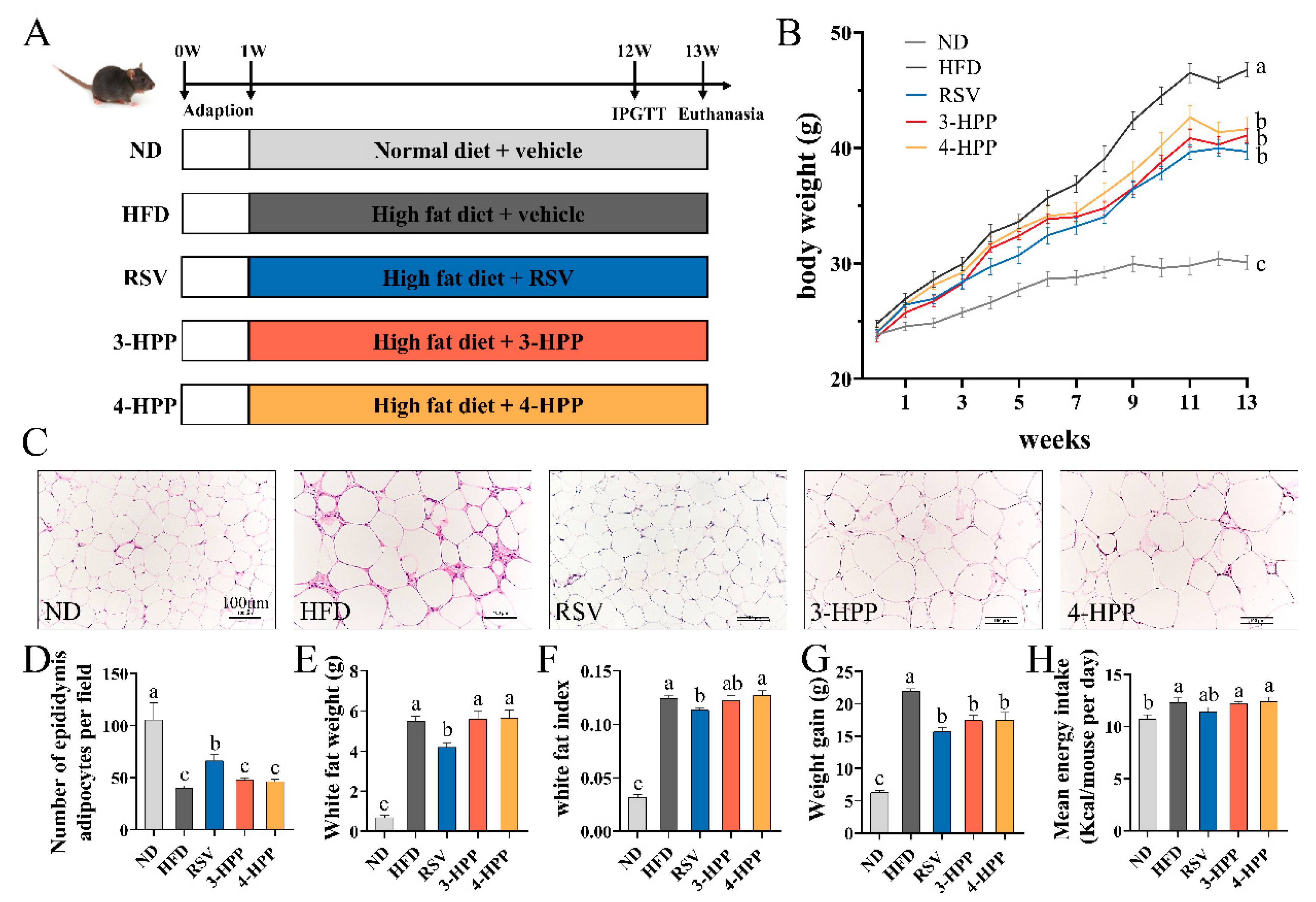 Foods 12 00094 g002 Foods 12 00094 g002