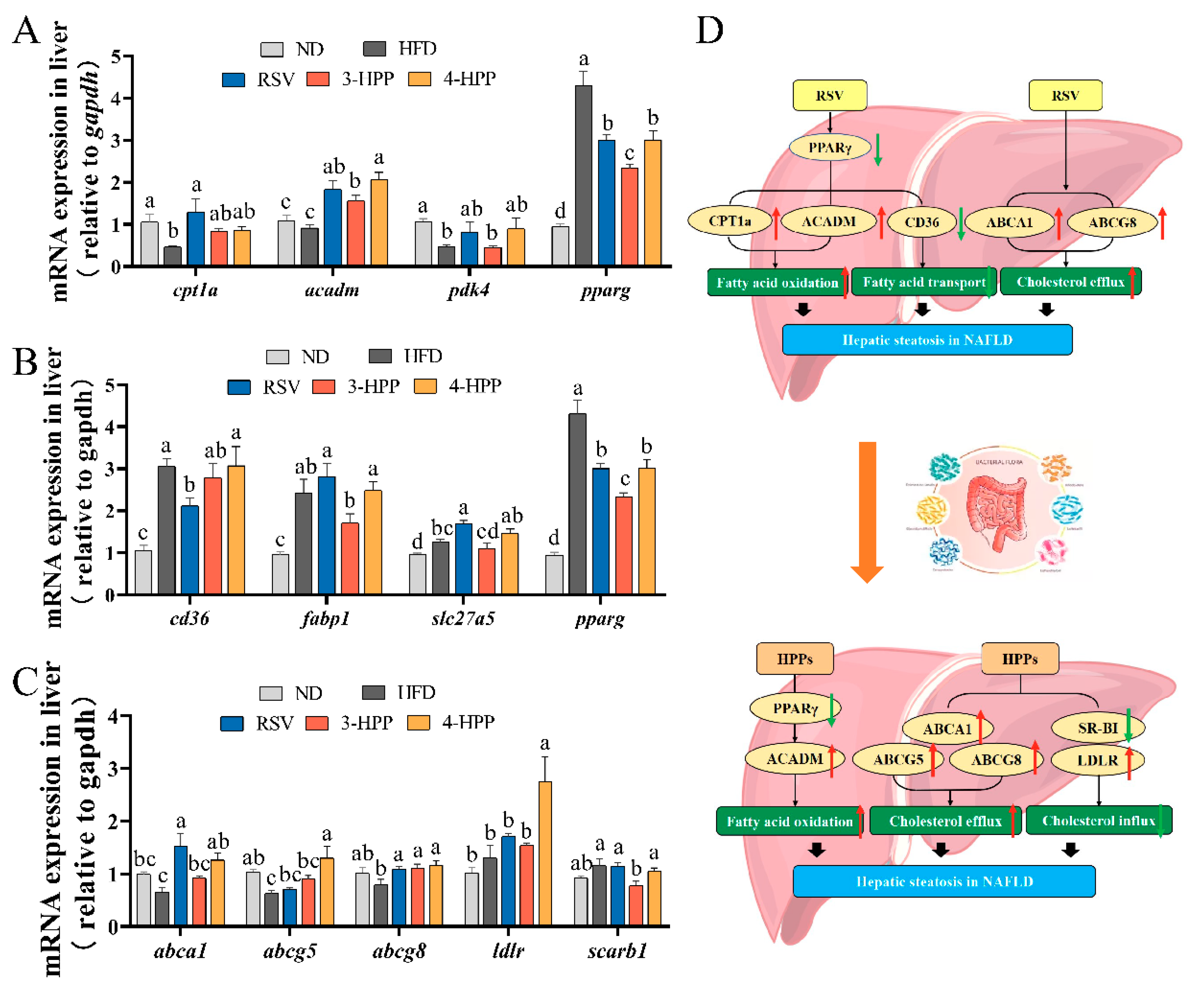 Foods 12 00094 g005 Foods 12 00094 g005