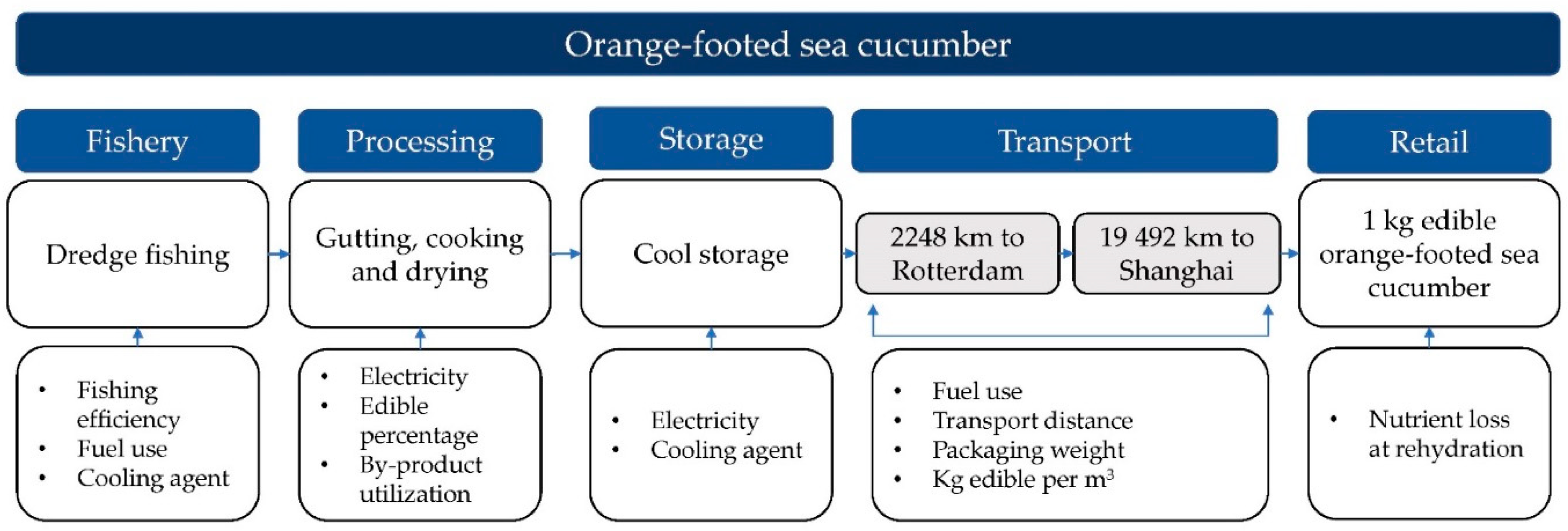 Foods 12 00114 g002 Foods 12 00114 g002