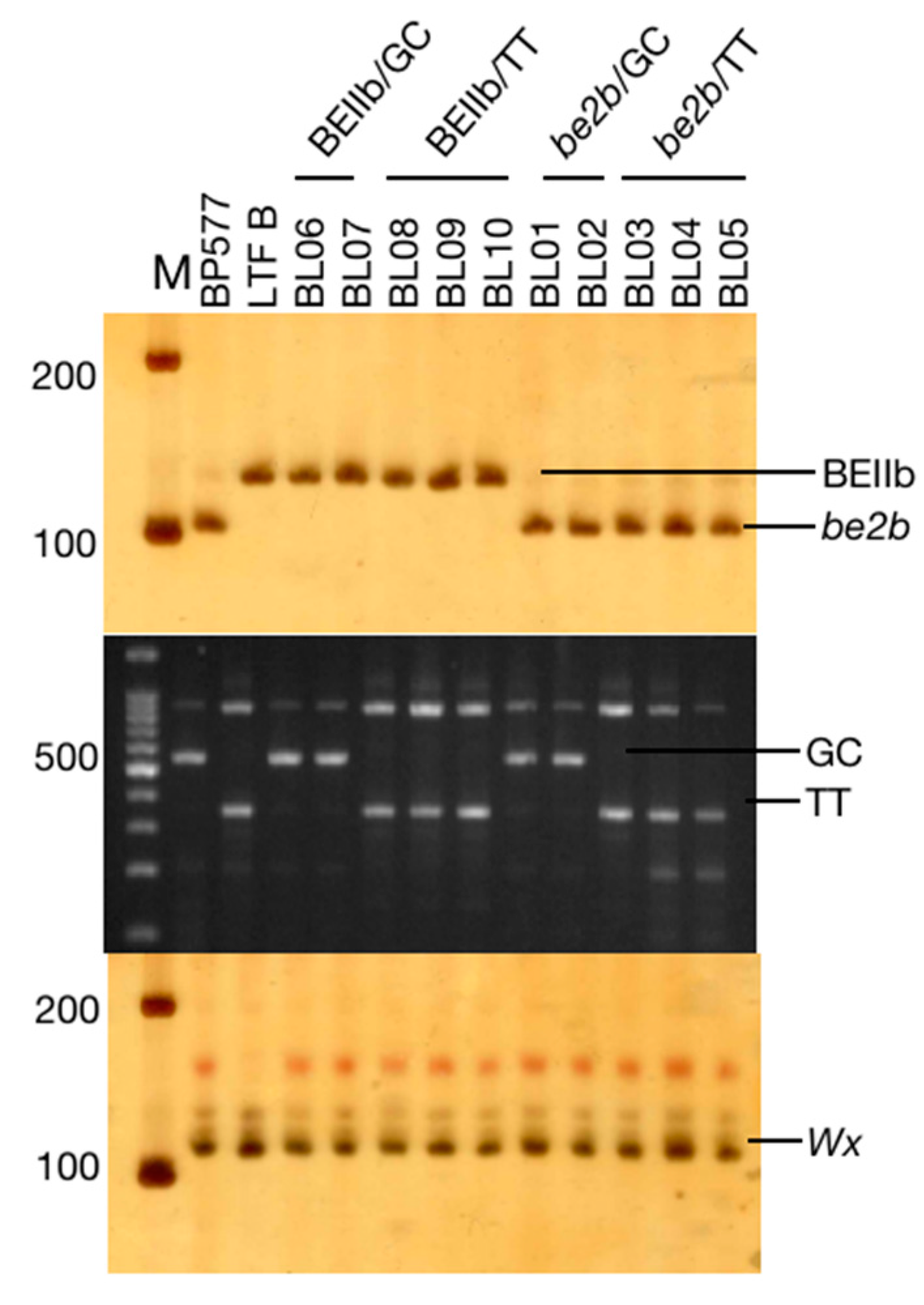 Foods 12 00119 g001 Foods 12 00119 g001