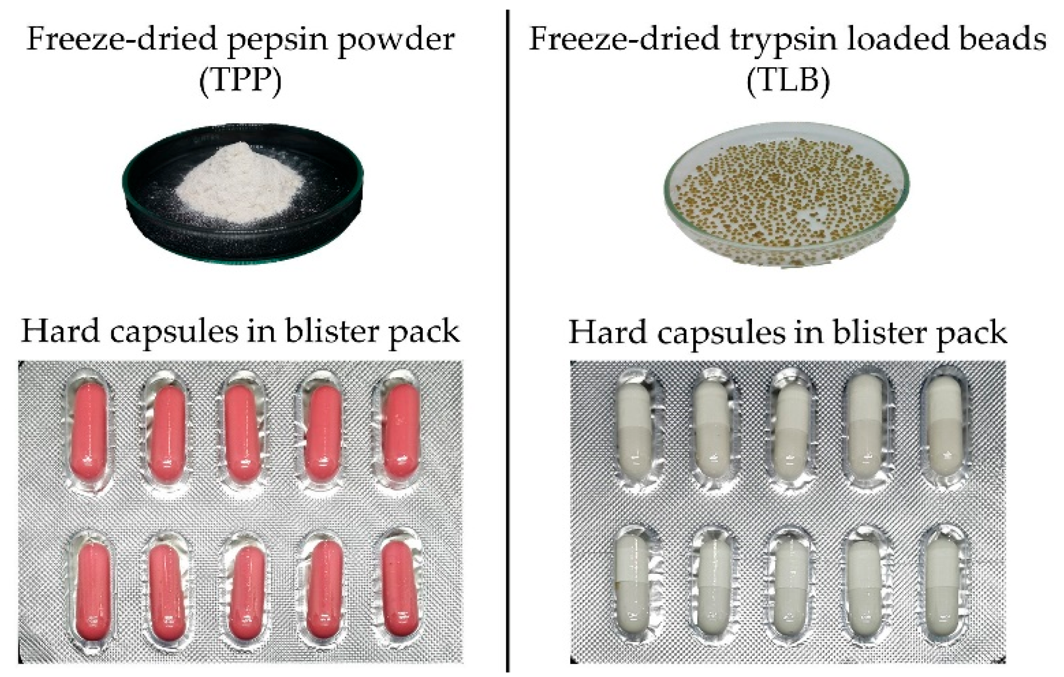 Foods 12 00125 g001 Foods 12 00125 g001