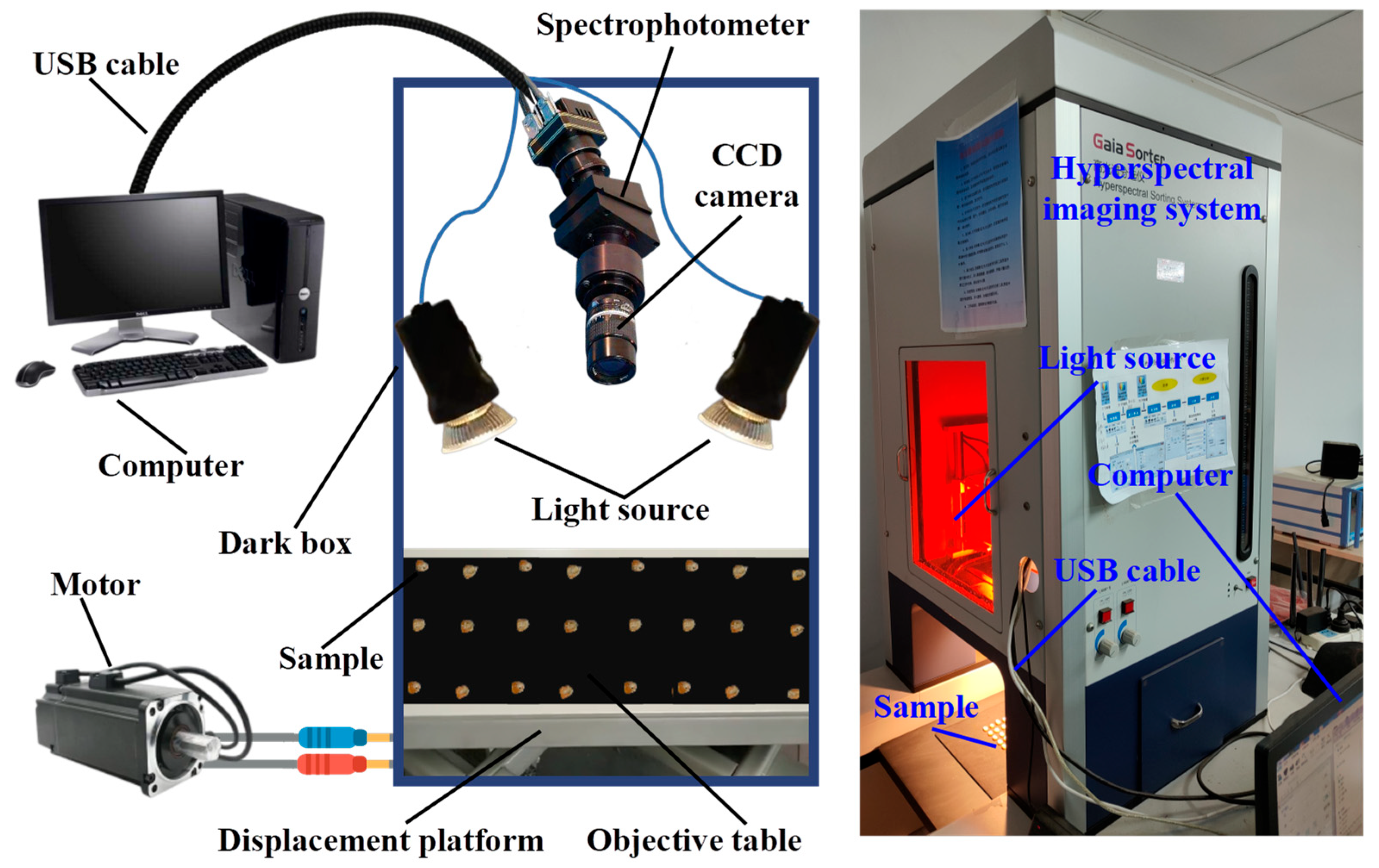Foods 12 00144 g002 Foods 12 00144 g002