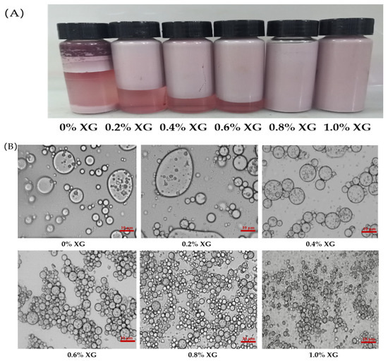 Foods Free FullText Improved Stabilization and In Vitro