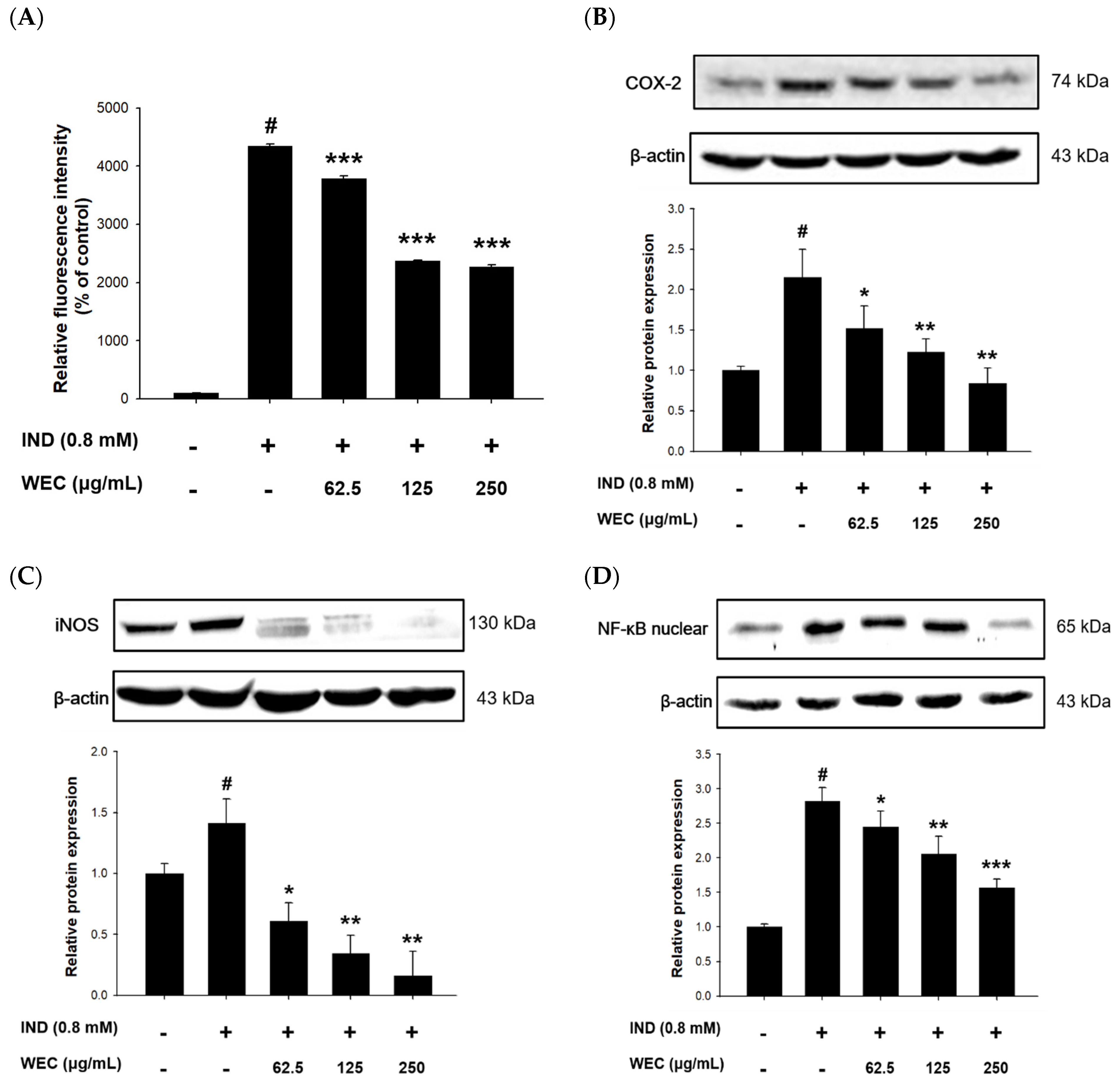 Foods 12 00156 g002 Foods 12 00156 g002