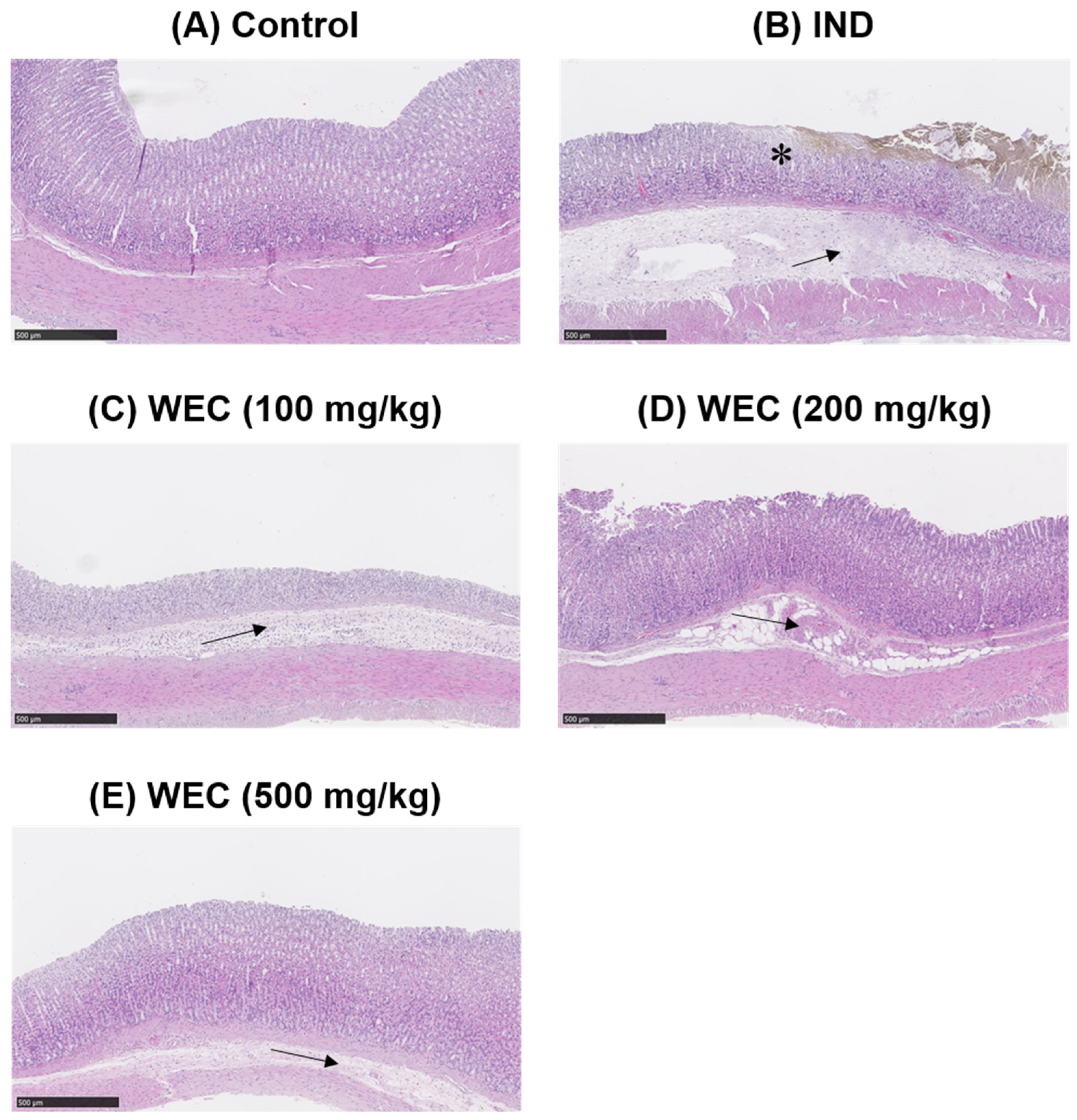 Foods 12 00156 g004 Foods 12 00156 g004