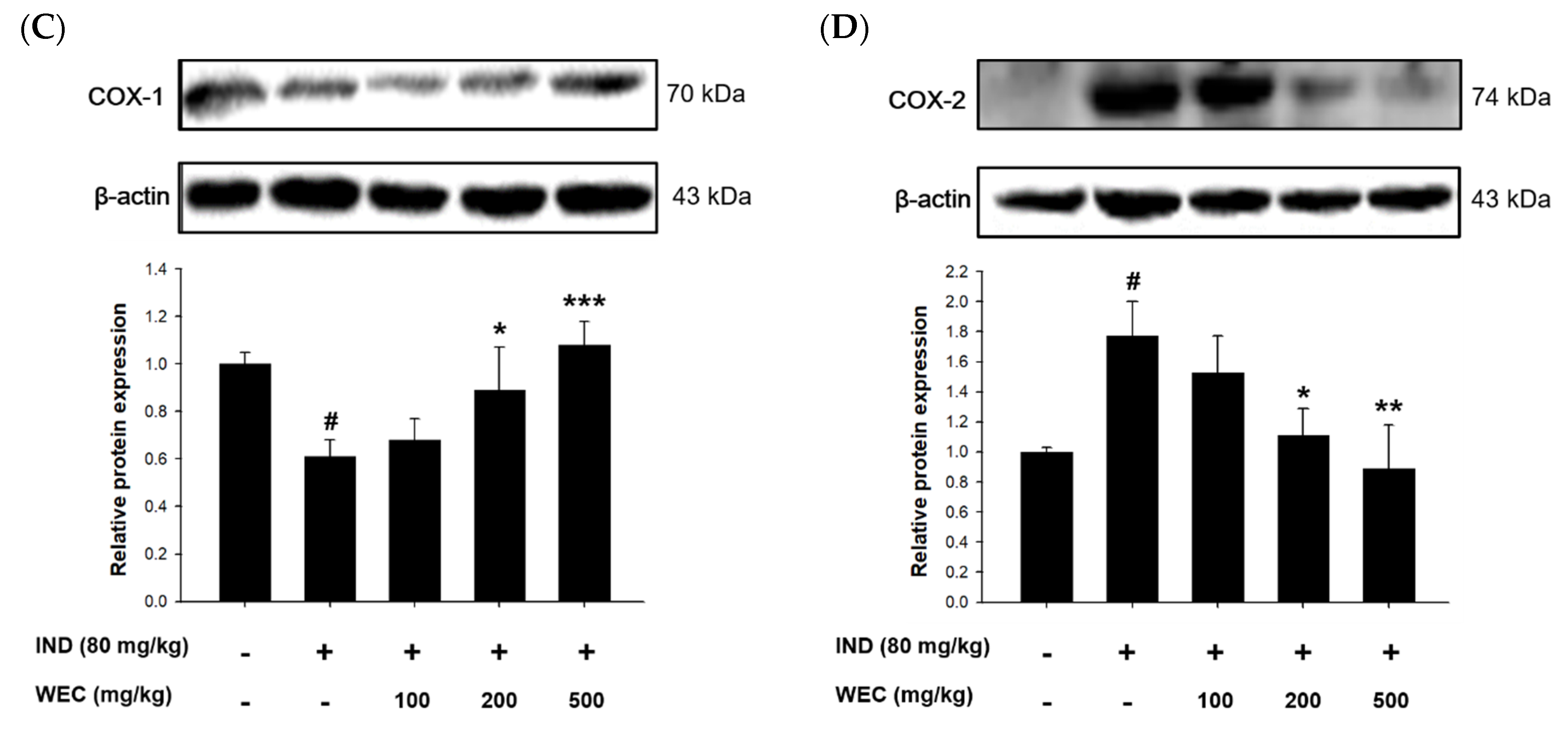 Foods 12 00156 g005b Foods 12 00156 g005b