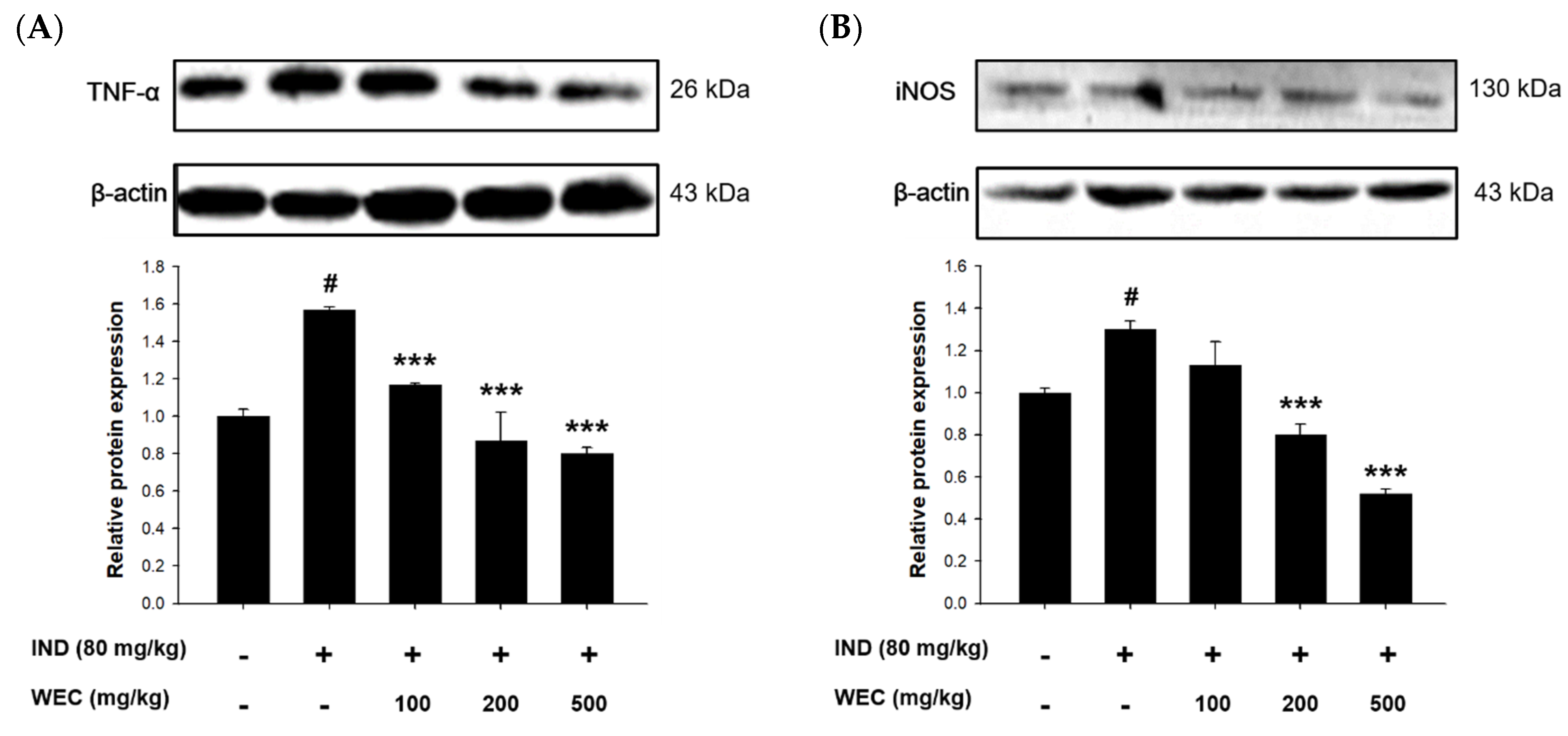 Foods 12 00156 g006 Foods 12 00156 g006