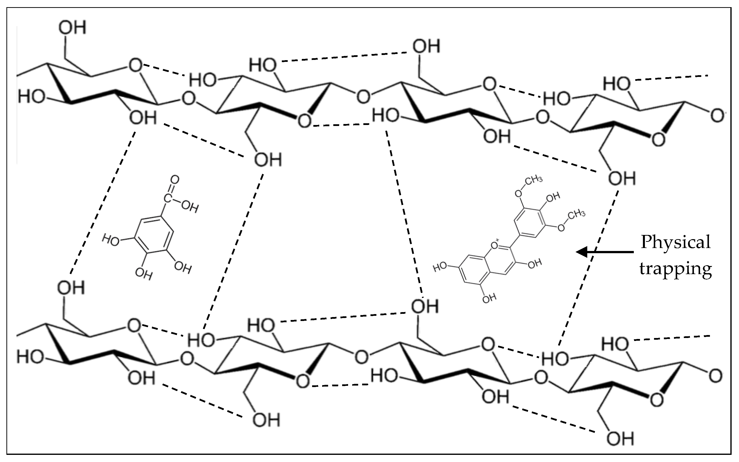 Foods 12 00159 g001 Foods 12 00159 g001