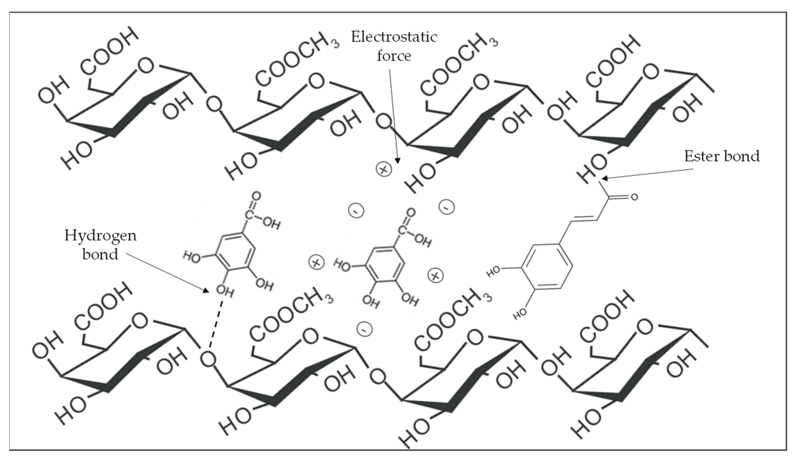 Foods 12 00159 g002 Foods 12 00159 g002