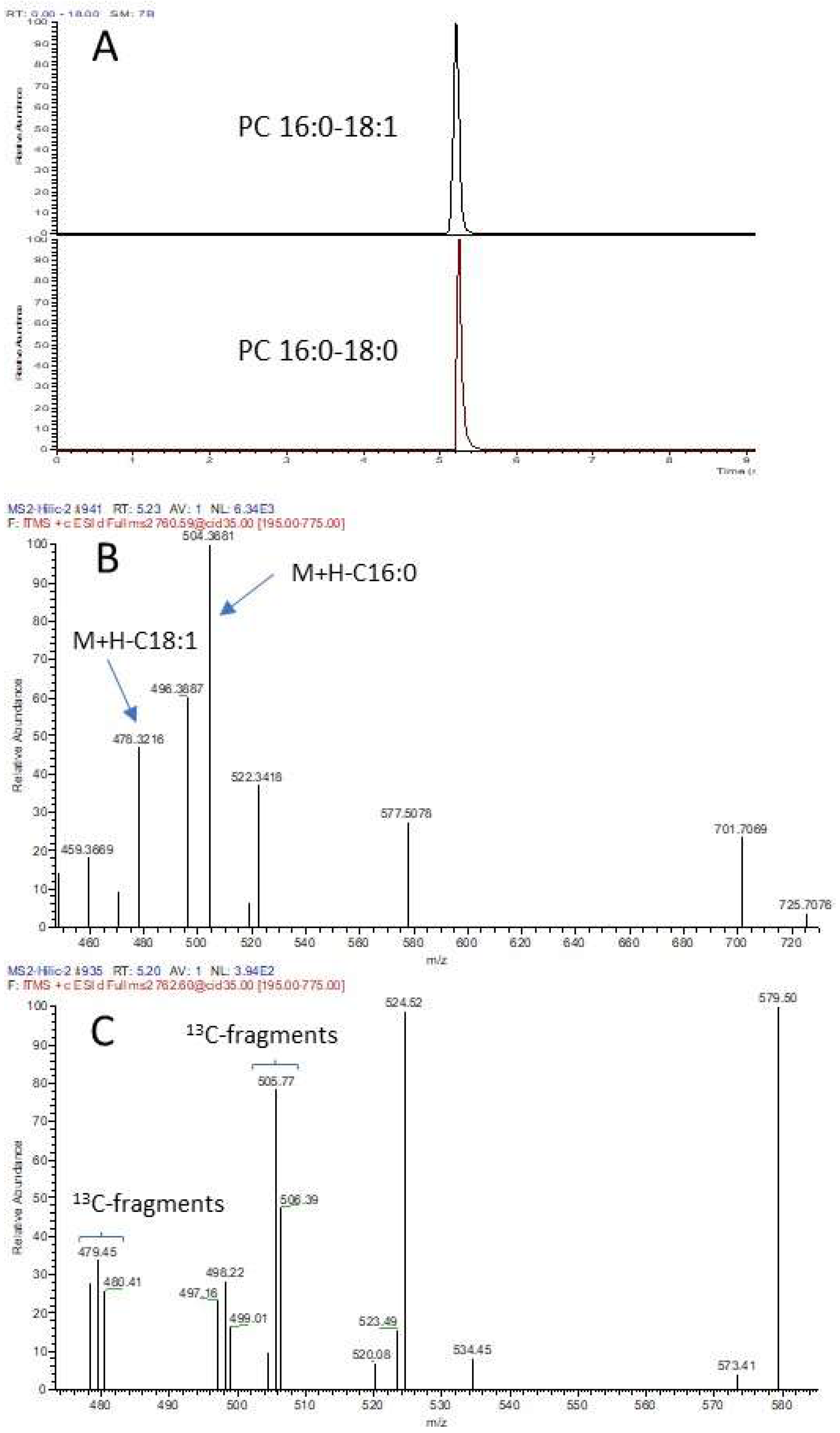 Foods 12 00163 g004 Foods 12 00163 g004