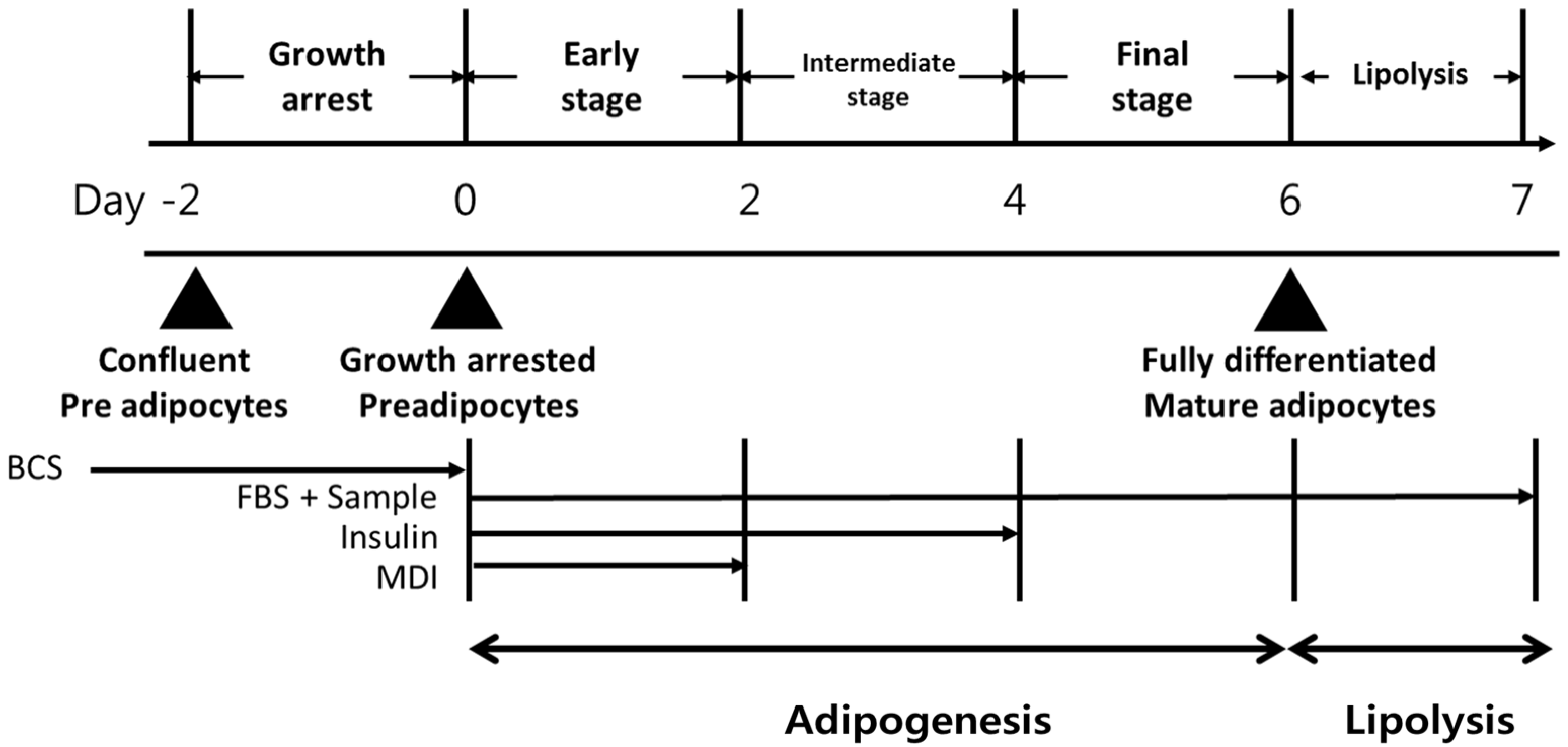 Foods 12 00172 g001 Foods 12 00172 g001