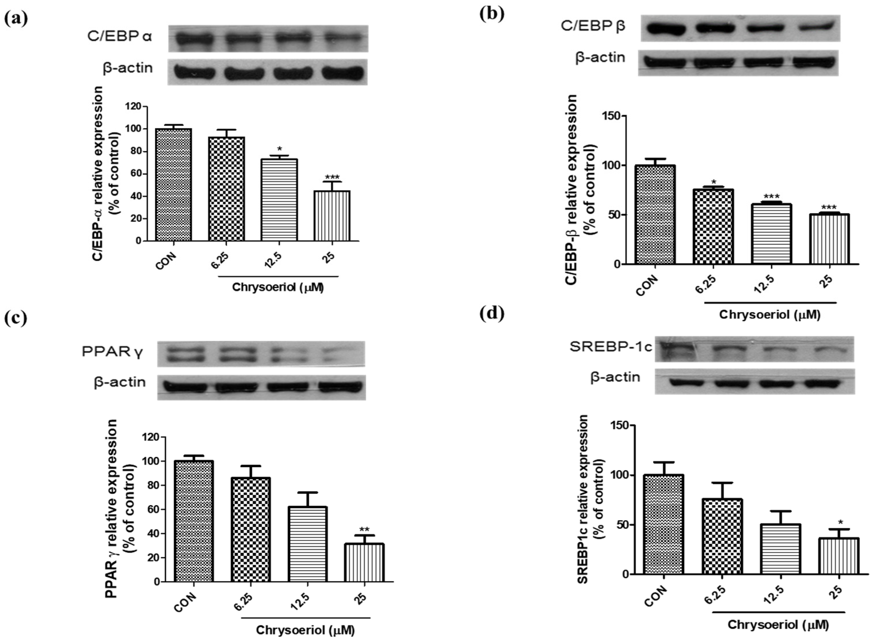 Foods 12 00172 g003 Foods 12 00172 g003