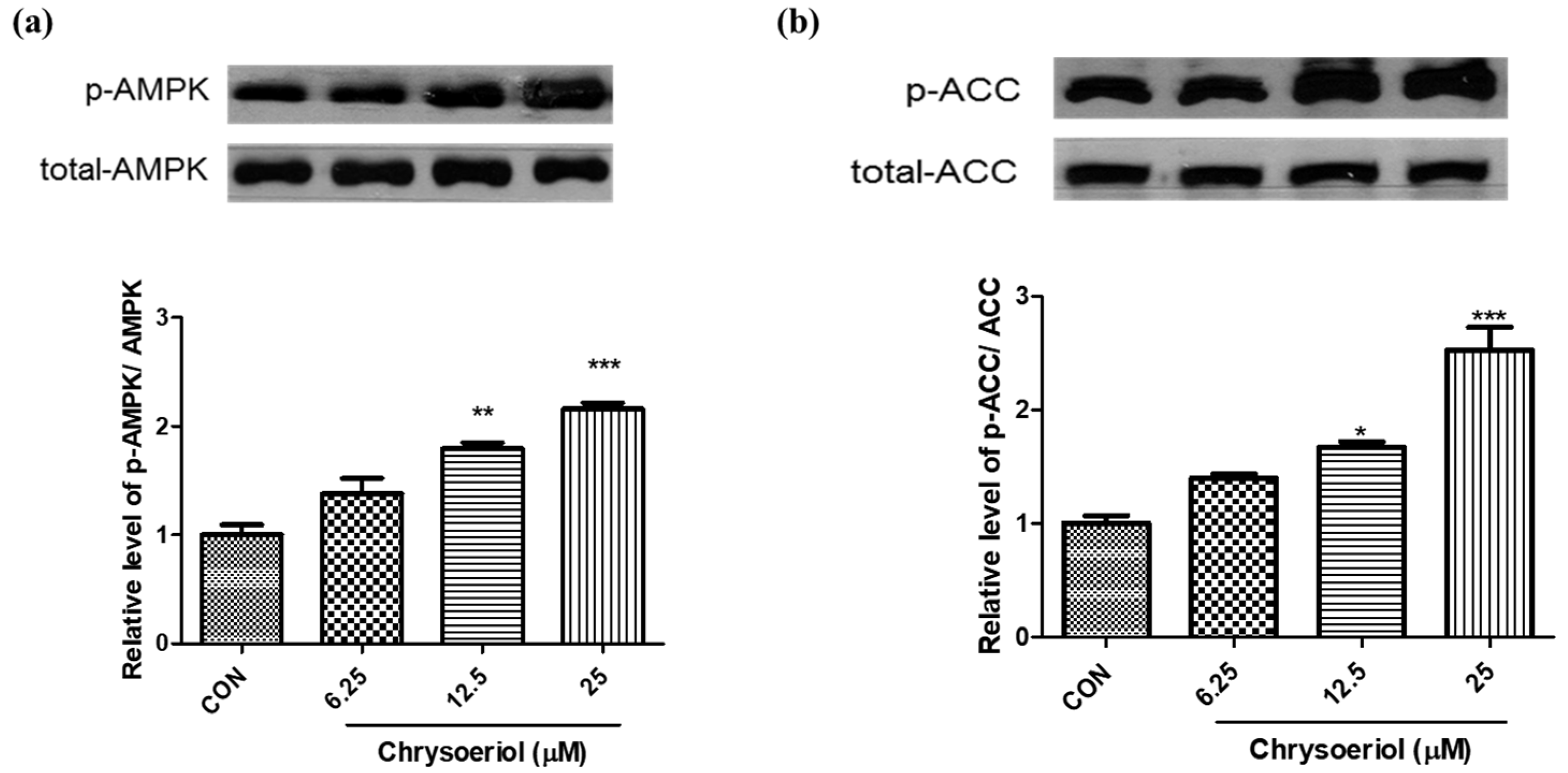 Foods 12 00172 g005 Foods 12 00172 g005