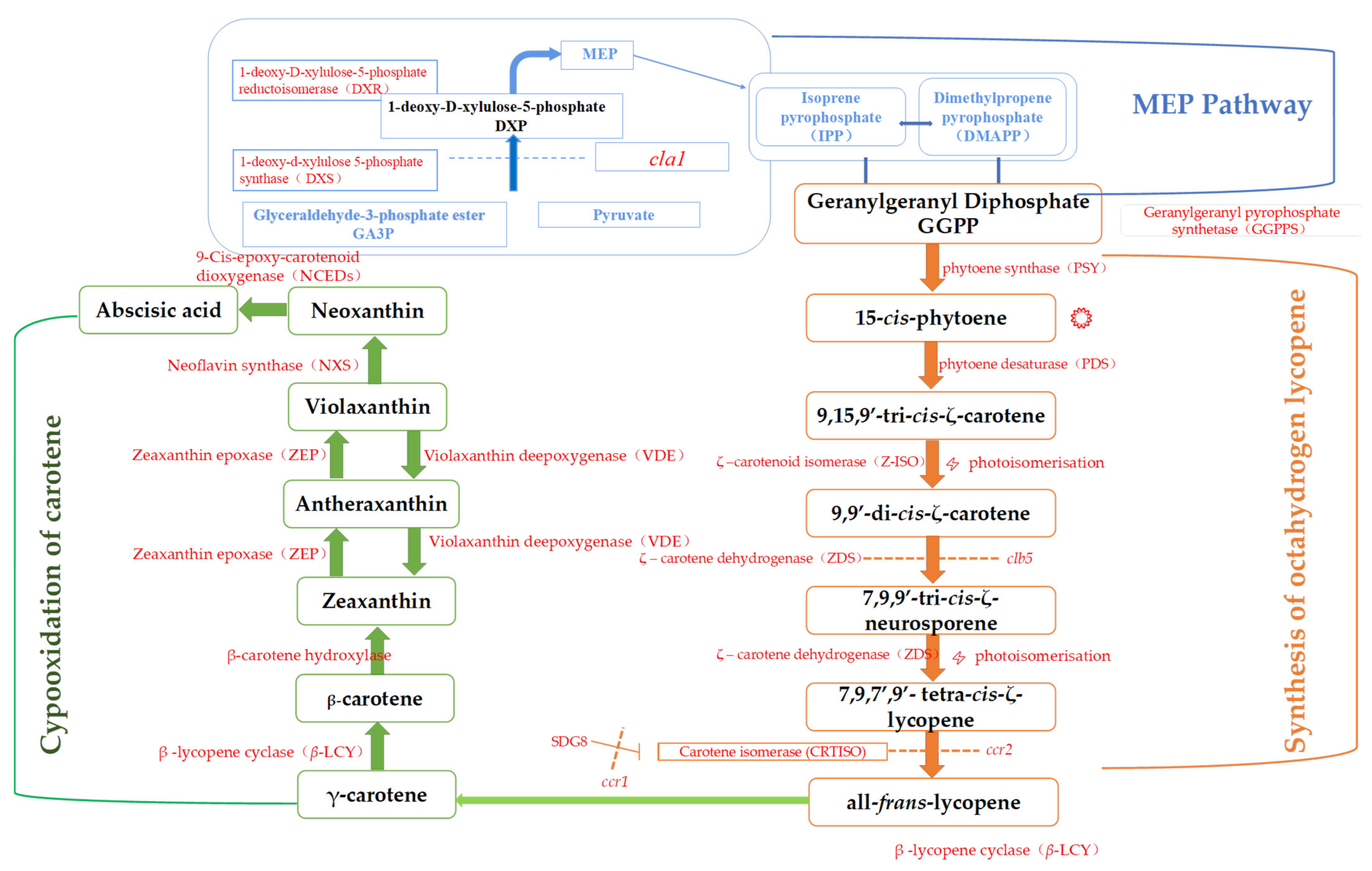 Foods 12 00173 g003 Foods 12 00173 g003
